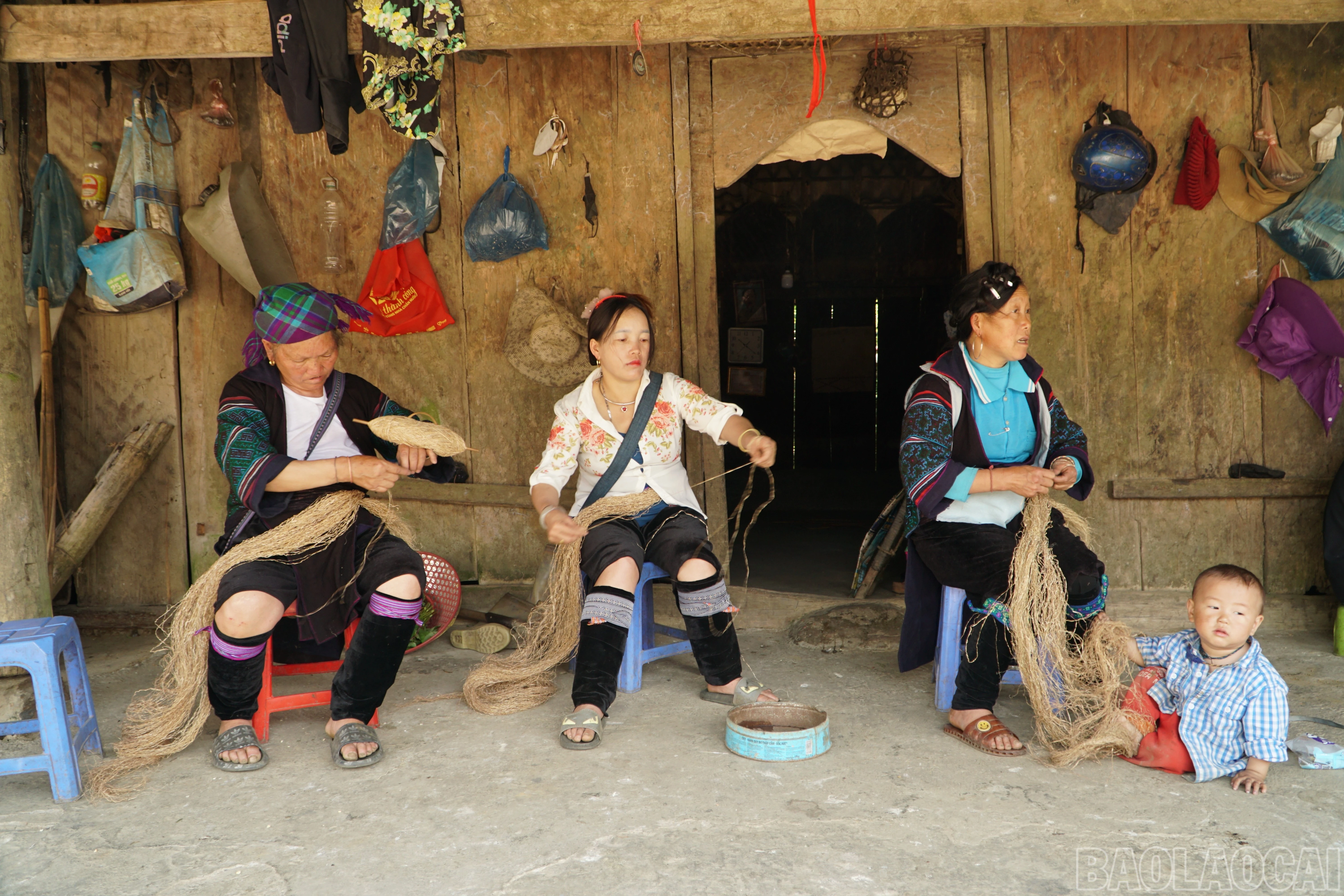 baolaocai-br_img-2622.jpg