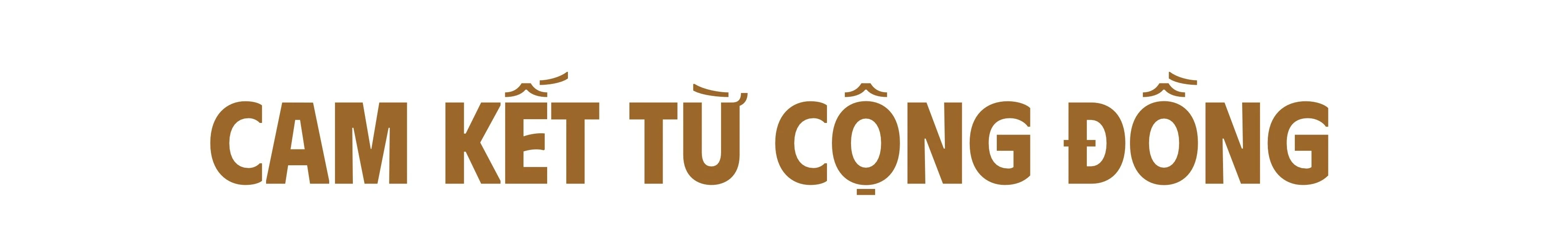 them-tieu-de-phu.jpg