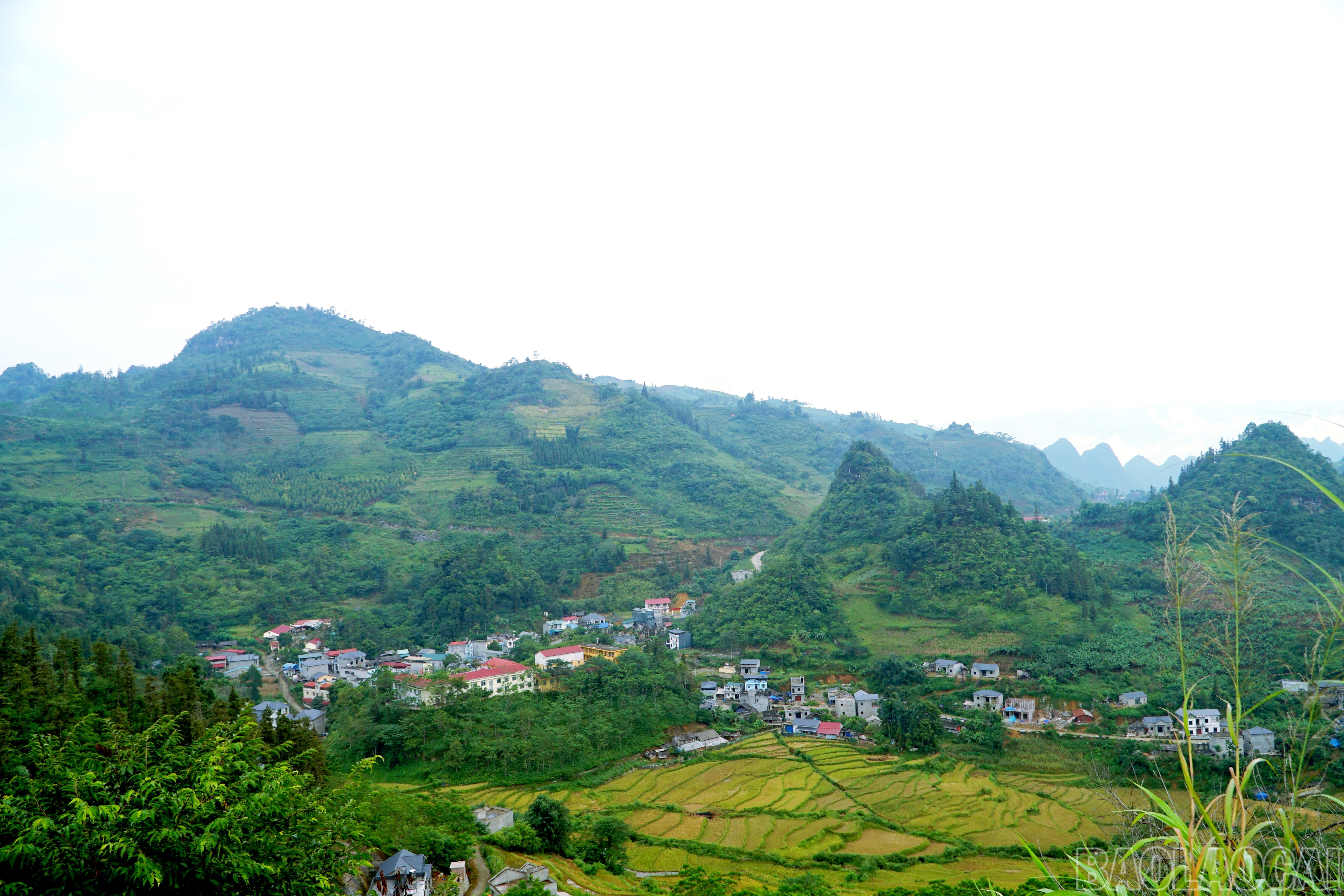 baolaocai-br_img-20260913-164711.jpg