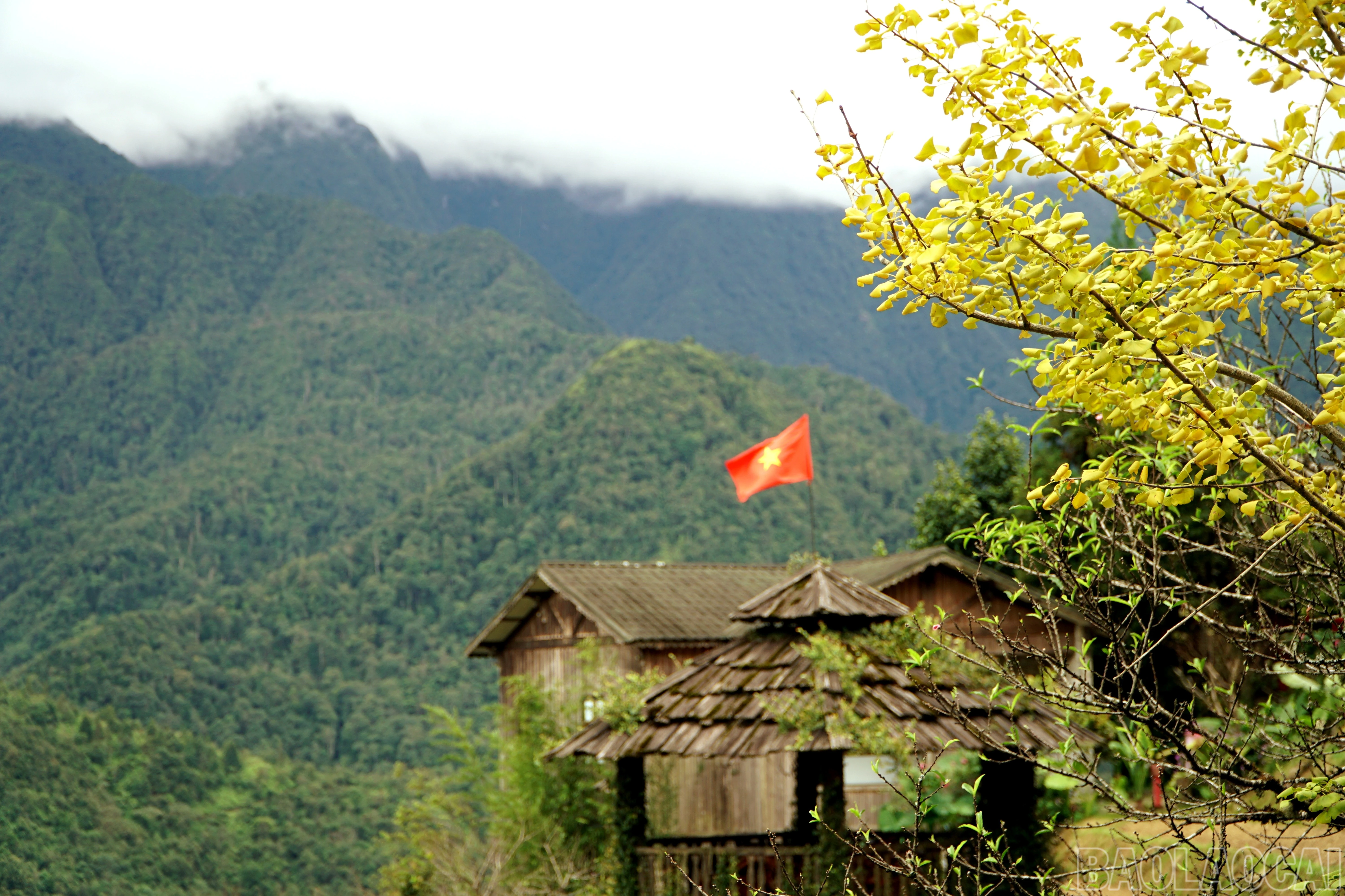 baolaocai-br_img-20260930-150832.jpg