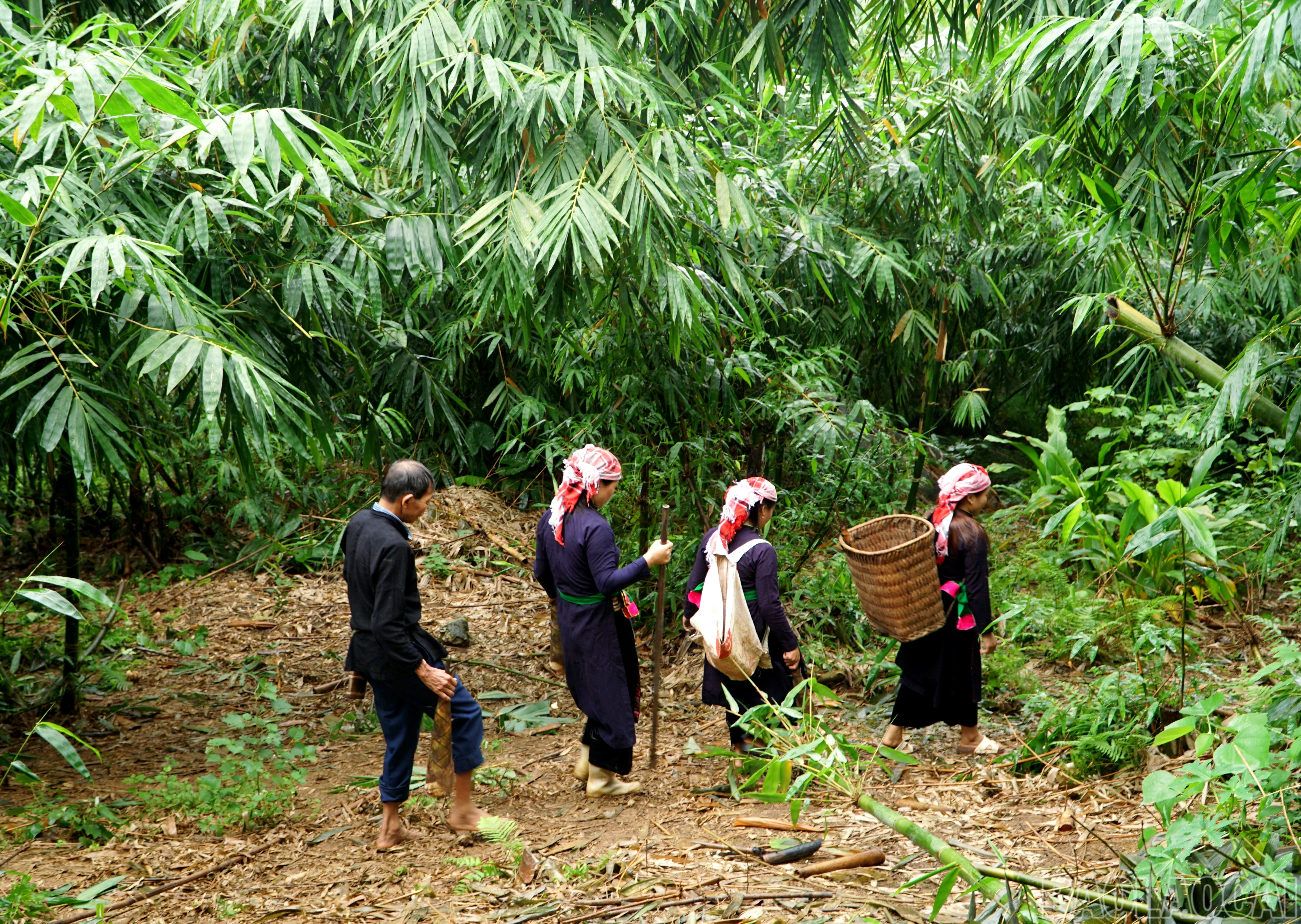 baolaocai-br_img-20260920-152837.jpg