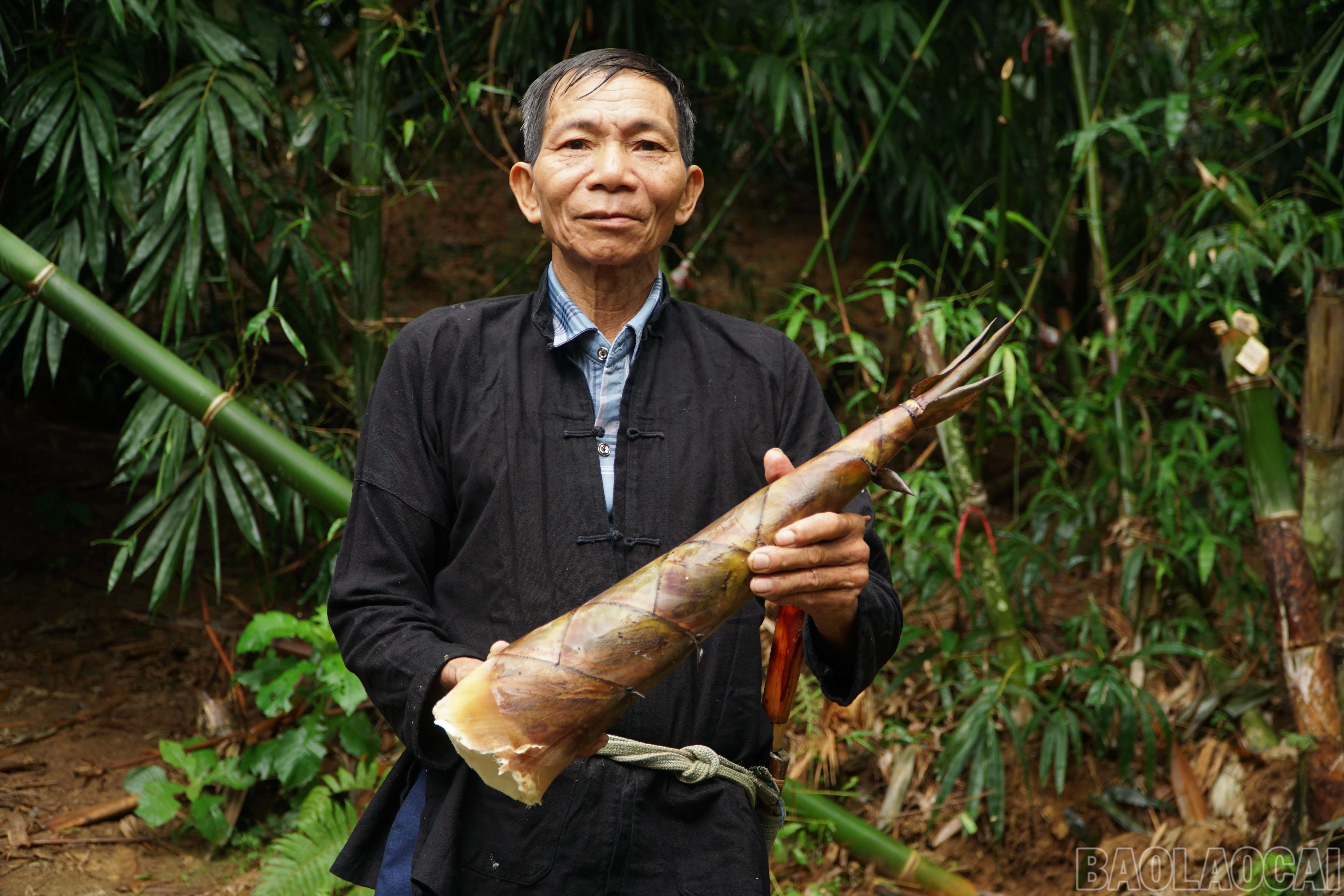 baolaocai-br_save-20260920-152158.jpg