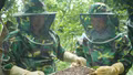 Giữ đàn ong, giữ nguồn sinh kế