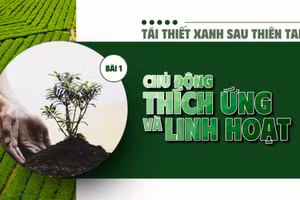 Bài 1: Chủ động thích ứng và linh hoạt