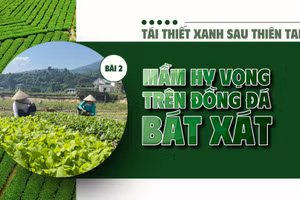 Bài 2: Mầm hy vọng trên đồng đất Bát Xát