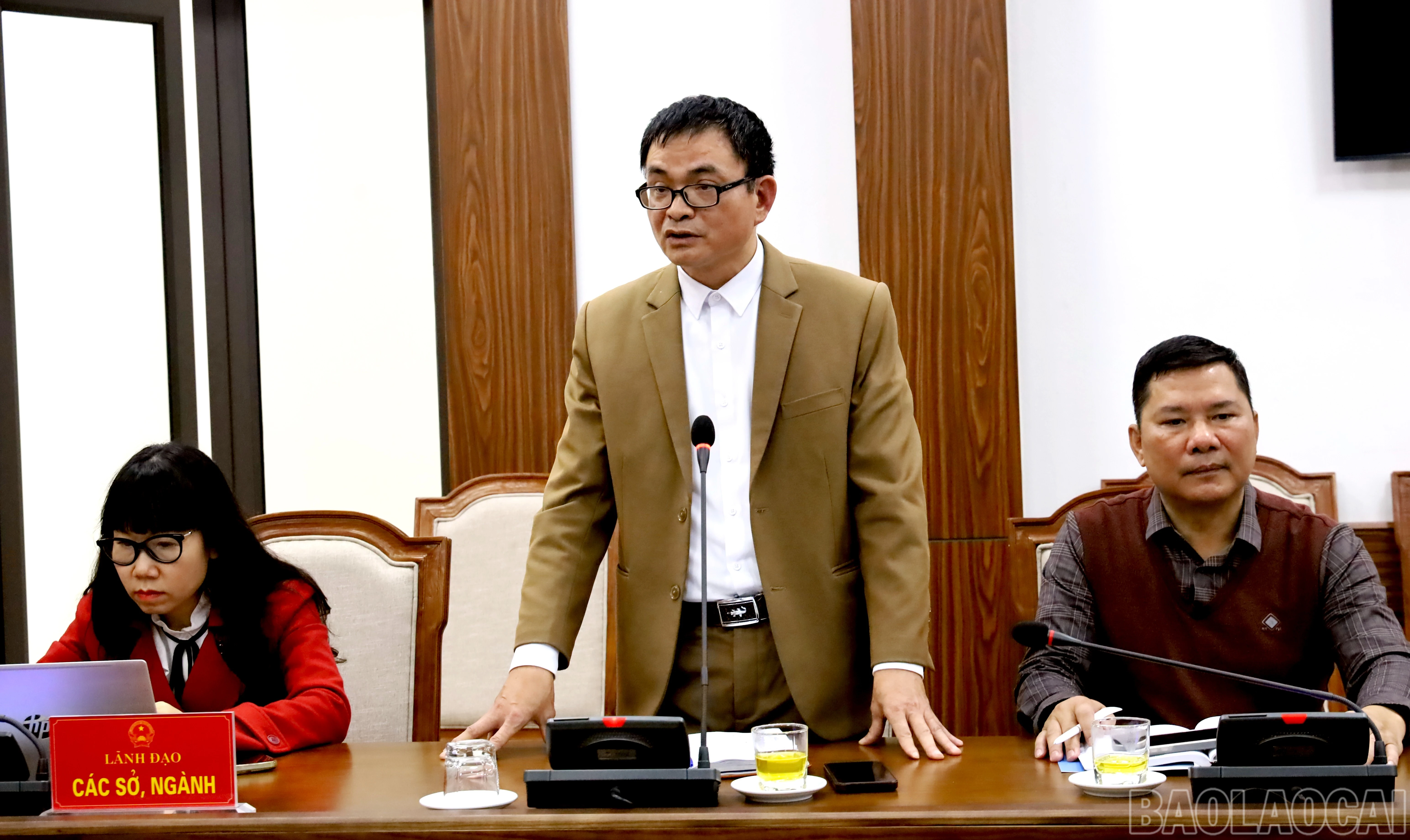 baolaocai-br_img-0393.jpg
