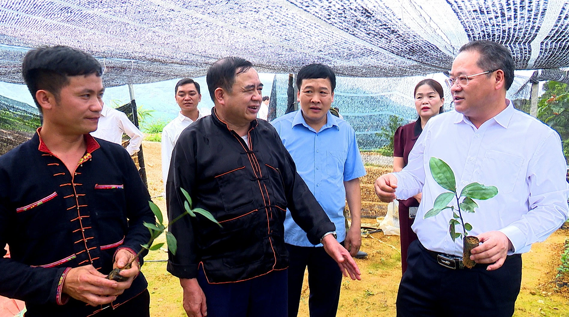 trao-huy-hieu00-04-19-04still009.jpg