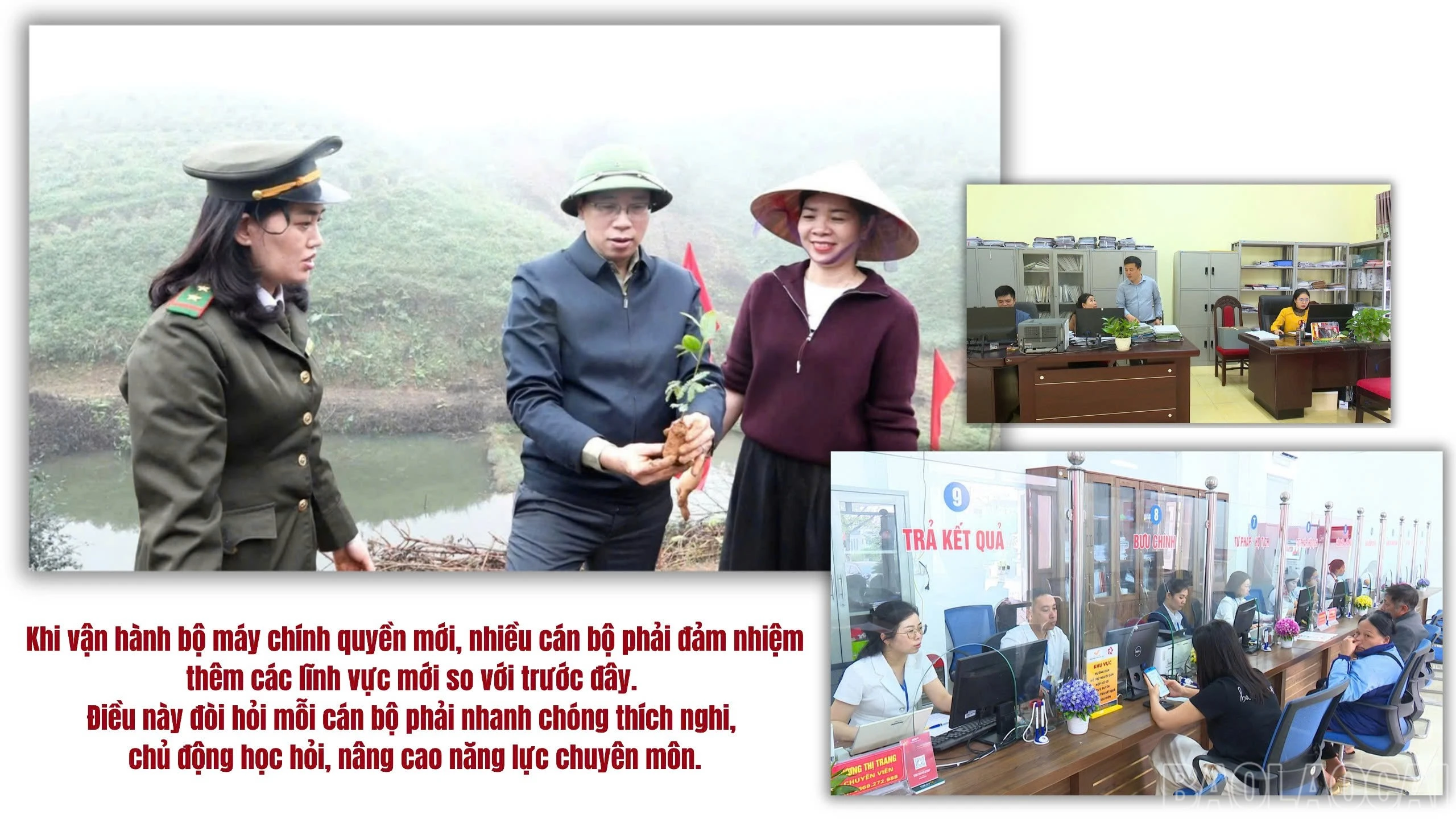 baolaocai-br_z7667055836874-2ebb6f819b7e8645c27f88e301f2b73c.jpg