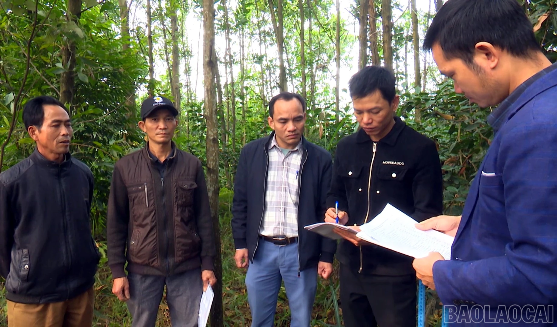 baolaocai-br_ban-bau-cu-tinh00-10-11-09still004.jpg