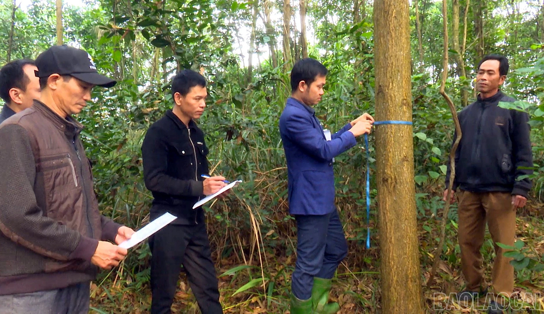 baolaocai-br_ban-bau-cu-tinh00-10-59-16still005.jpg