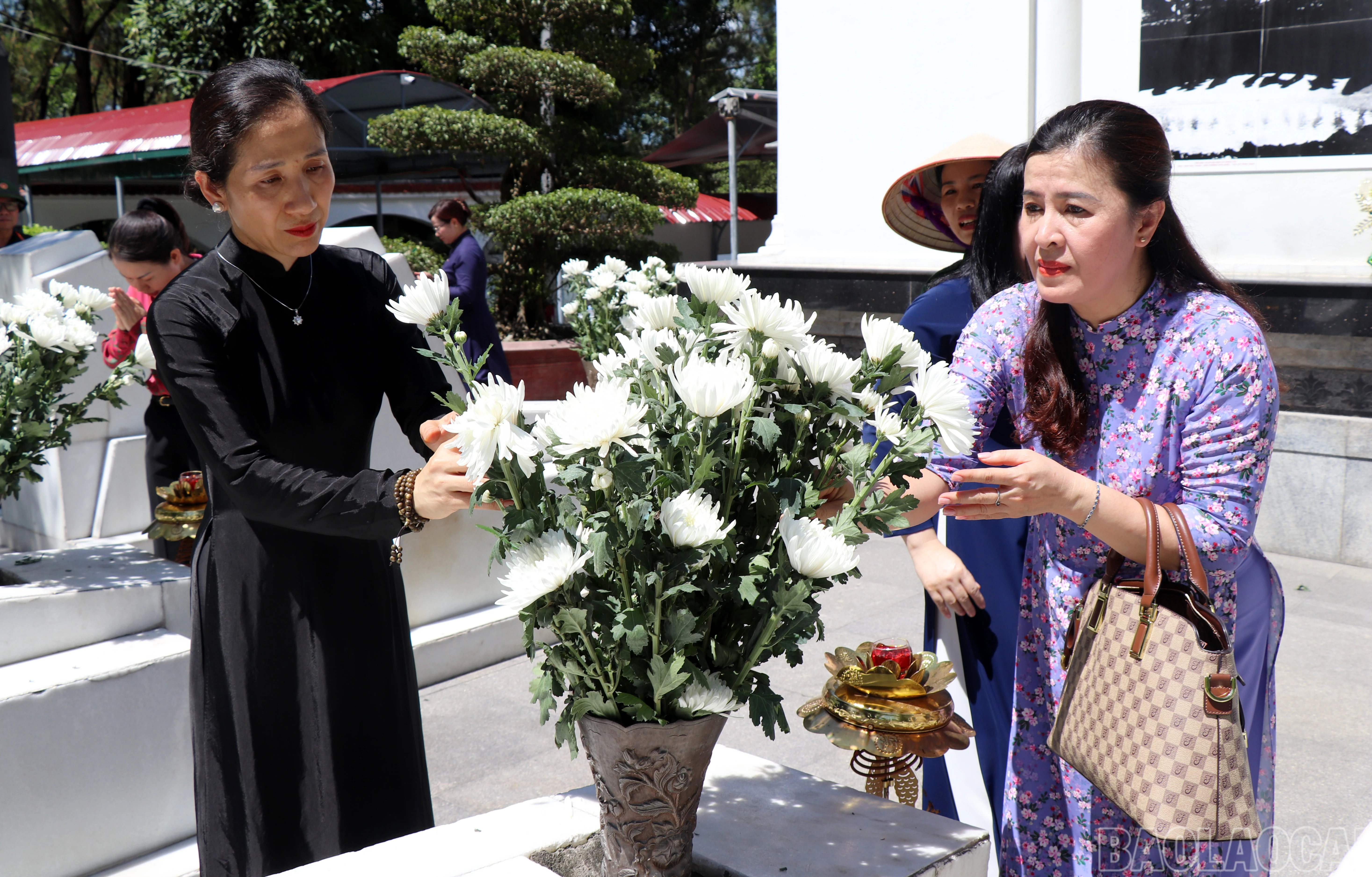 baolaocai-br_img-0592.jpg