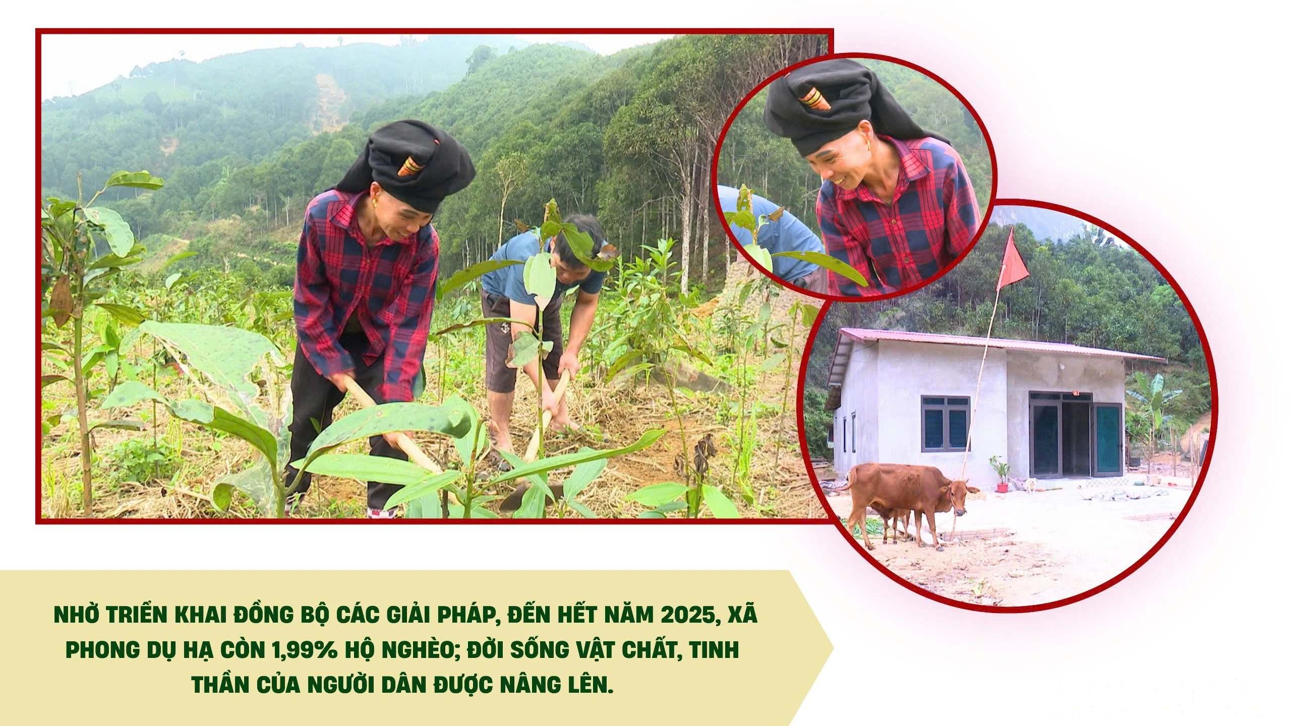 baolaocai-br_z7710430102479-c297cd0436398034272cfa8ee92b7354.jpg