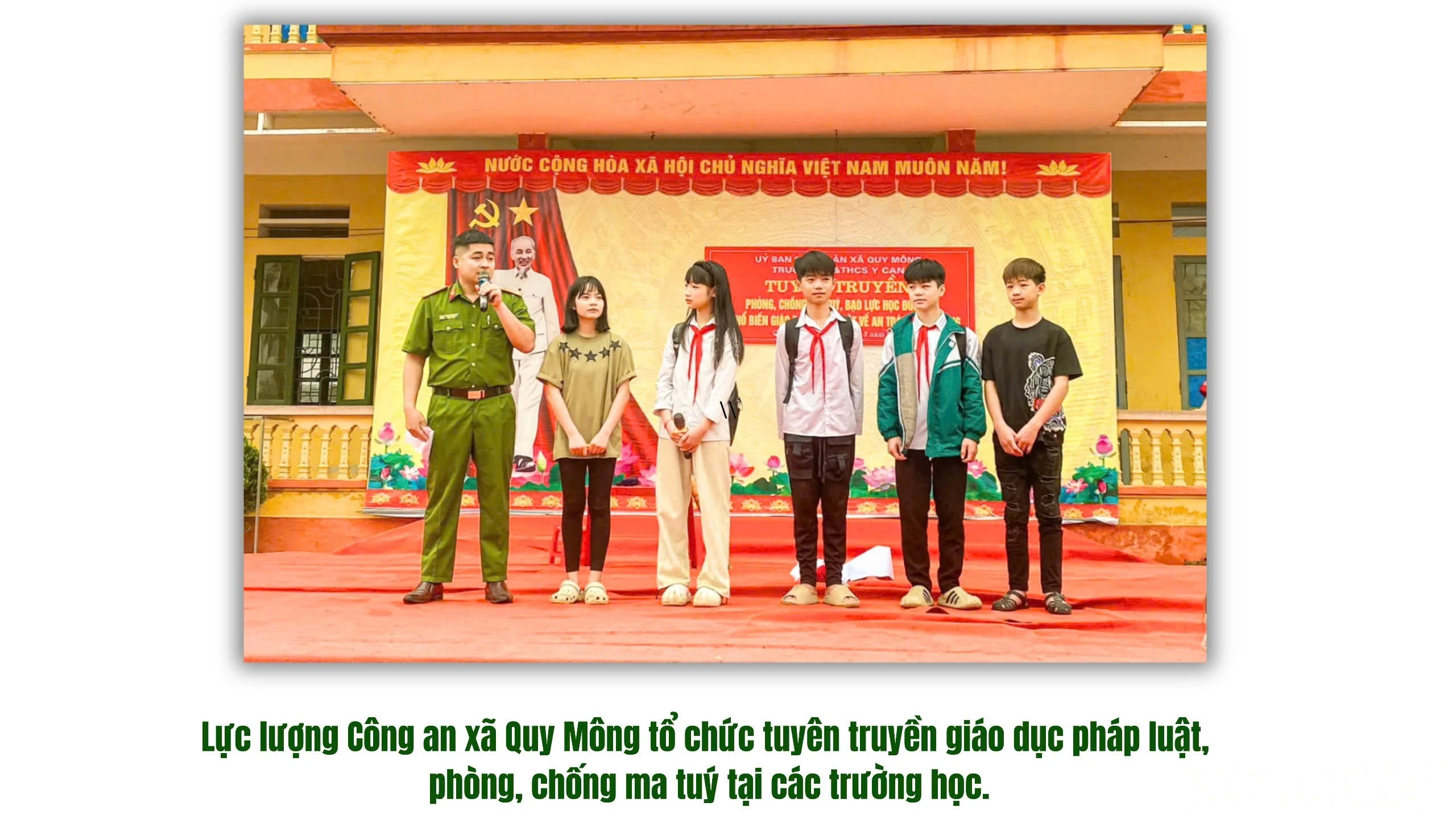 baolaocai-br_111111111111.jpg