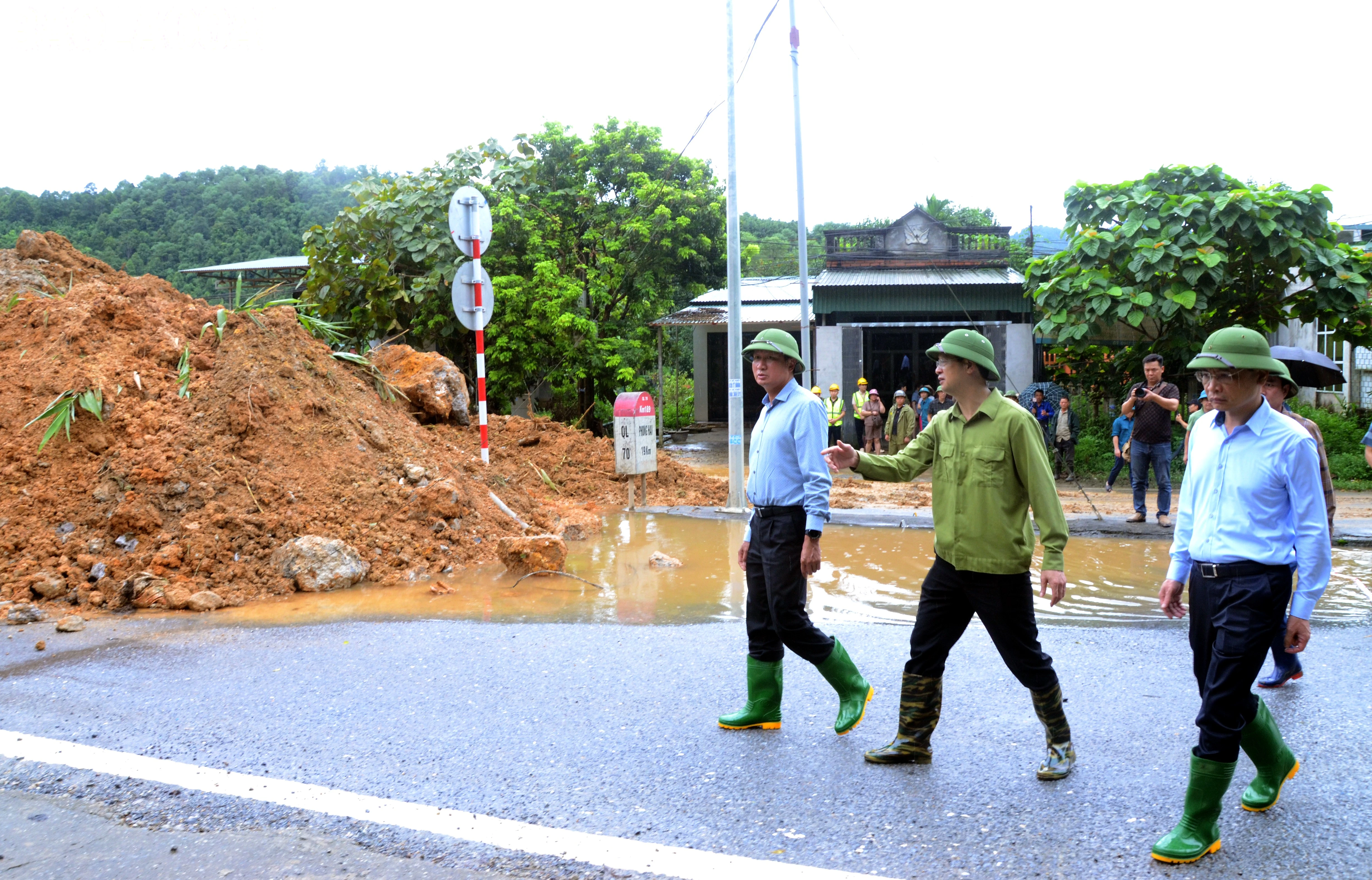 baolaocai-tl_dsc-5314.jpg