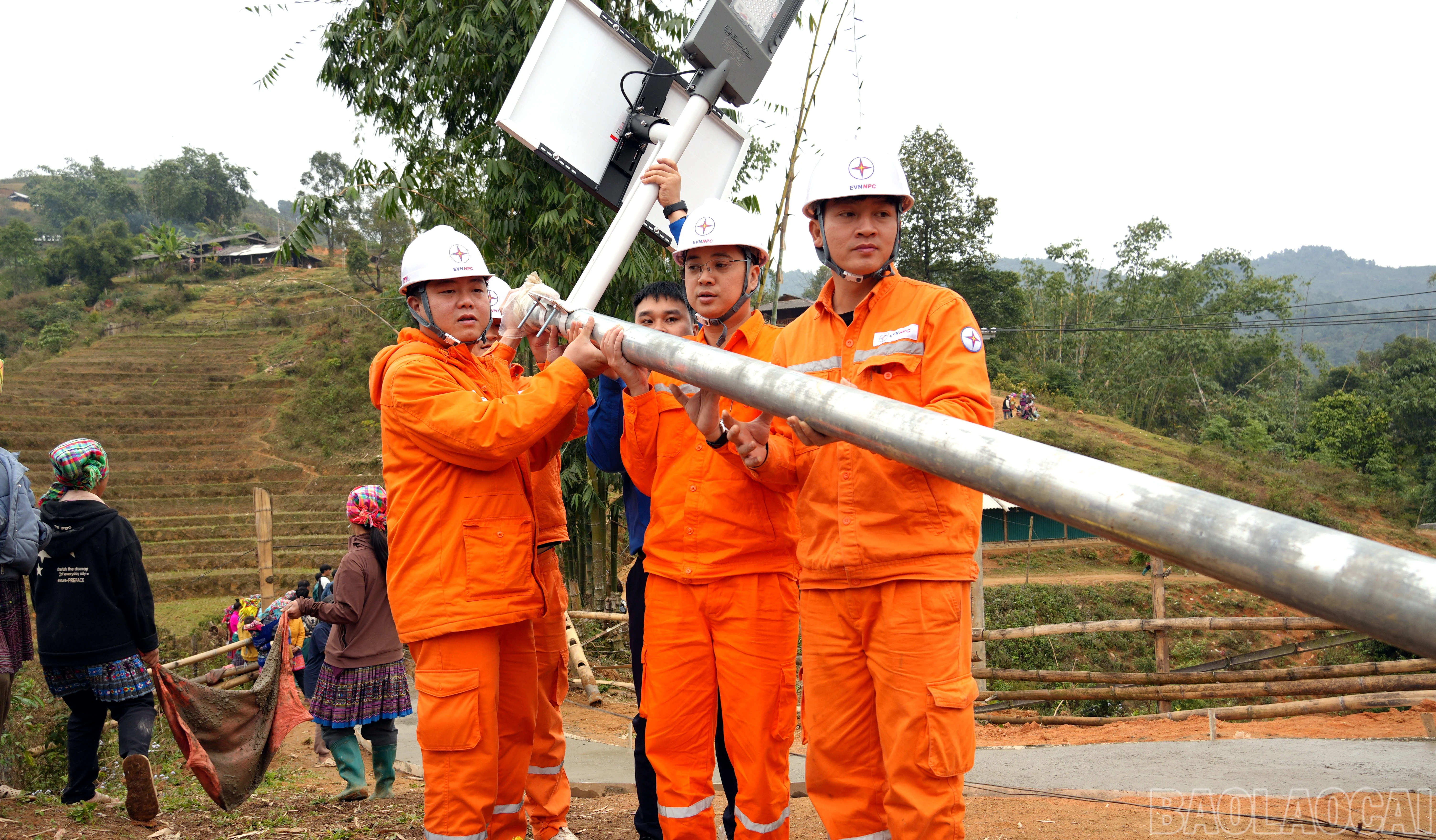 baolaocai-br_dsc03829.jpg