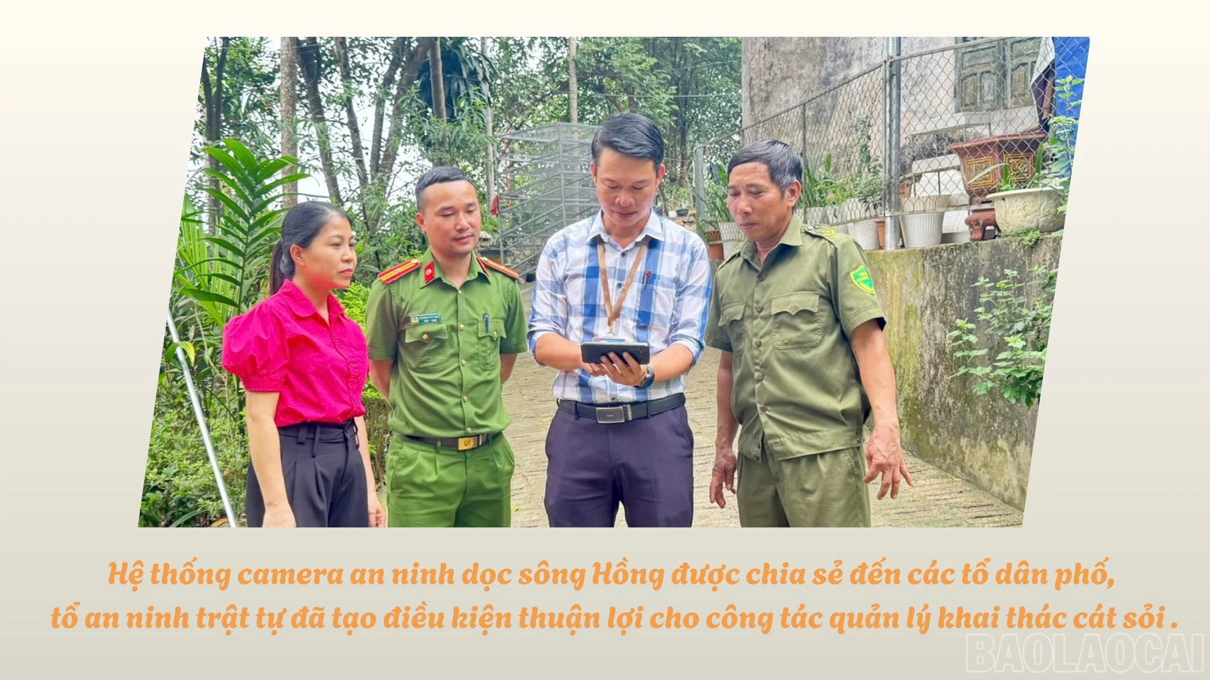 baolaocai-br_z7854240237611-61d829d8309a17a217957673049addee.jpg