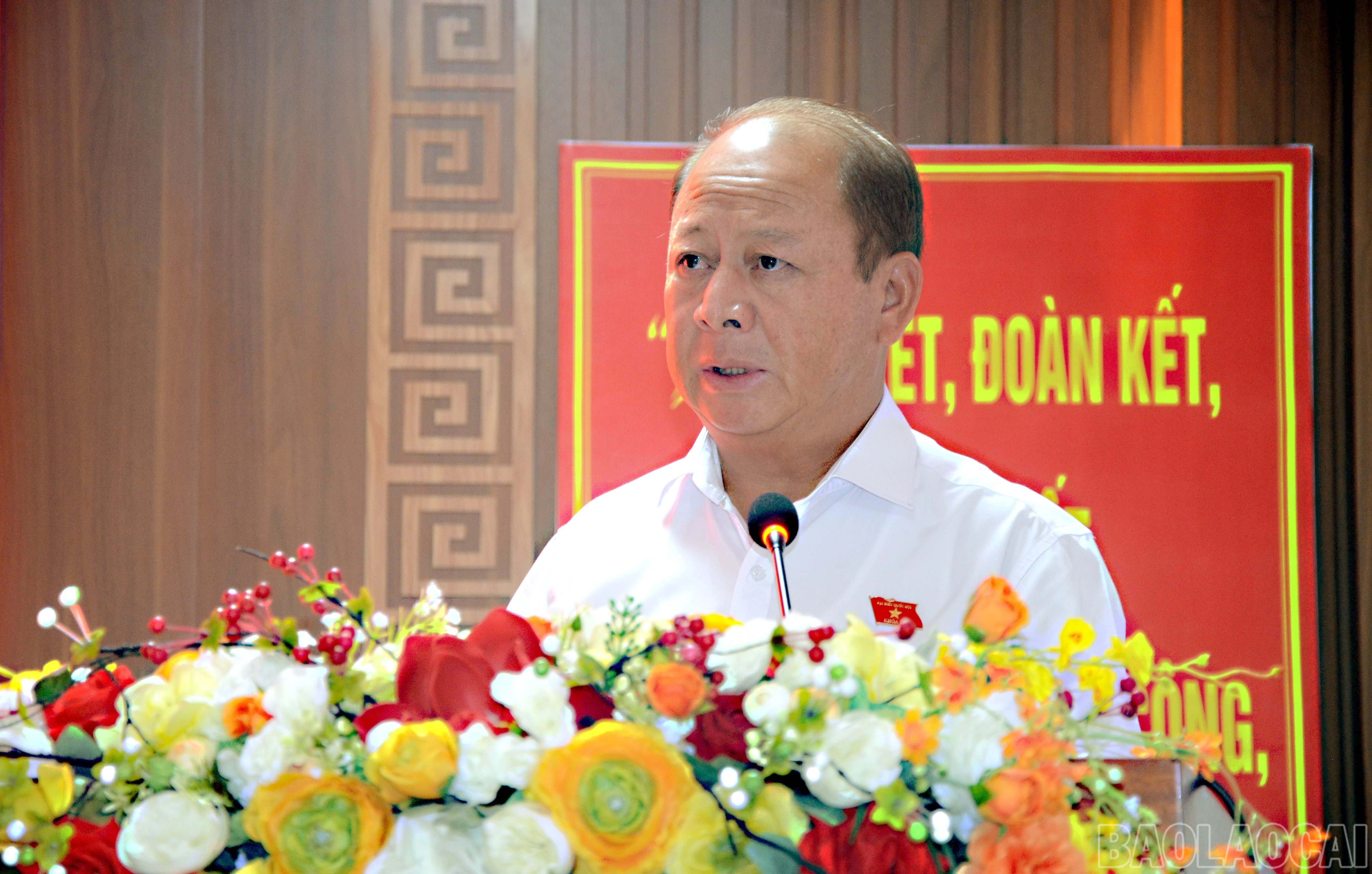 baolaocai-br_dsc-0123.jpg