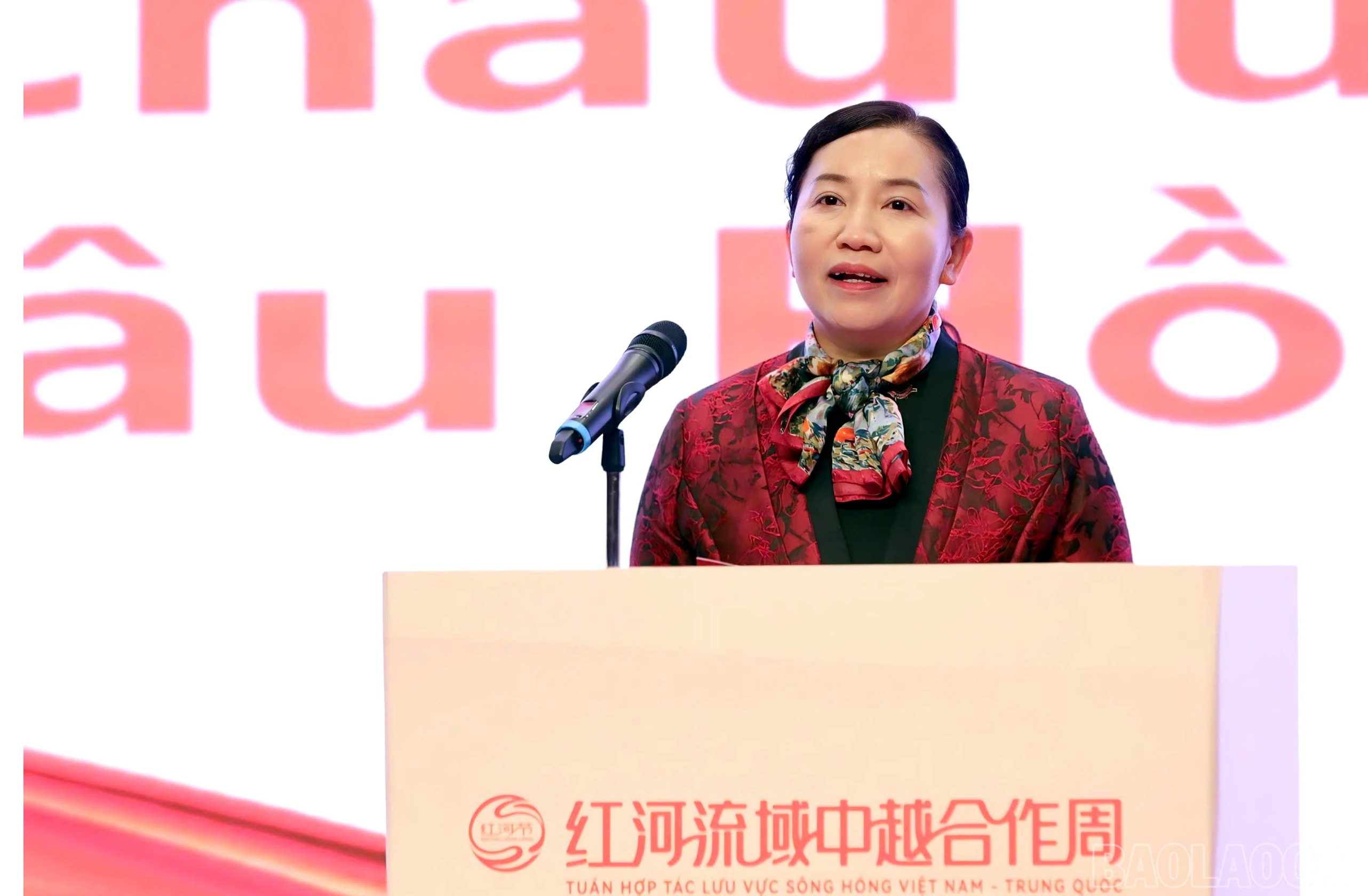 baolaocai-br_z7247419985617-960a05ebcddd6c233e162a2f0e2a622e.jpg
