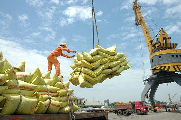 Xứng đáng vai trò “trụ đỡ” ảnh 2