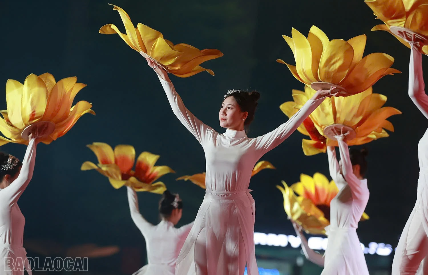 baolaocai-bl_z6062865081093-8b93b14694d7506ebbccca33eb69bb04.jpg
