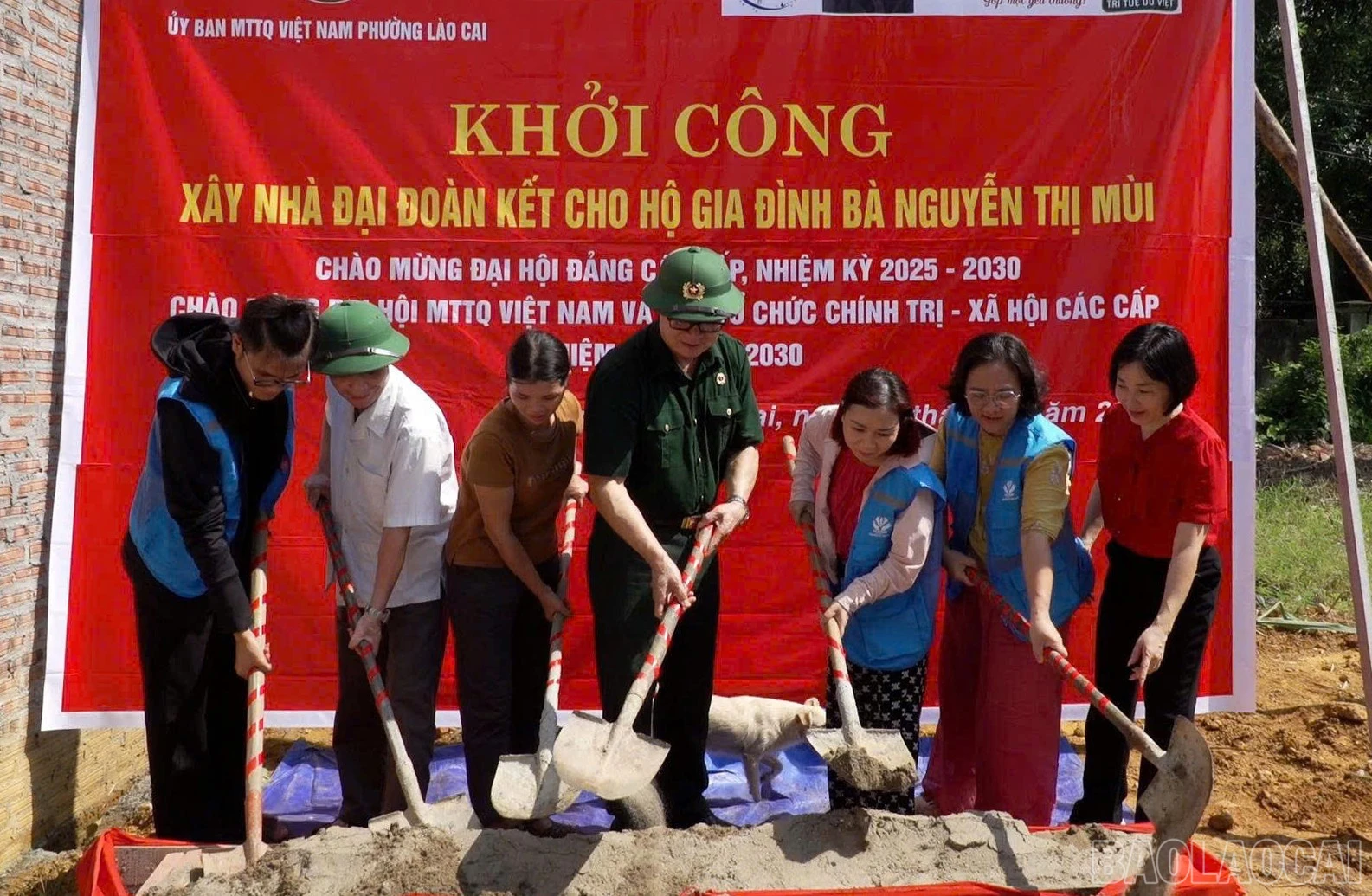 baolaocai-br_z7173661821424-b505065ca41cd835651b52fe096c04e9.jpg