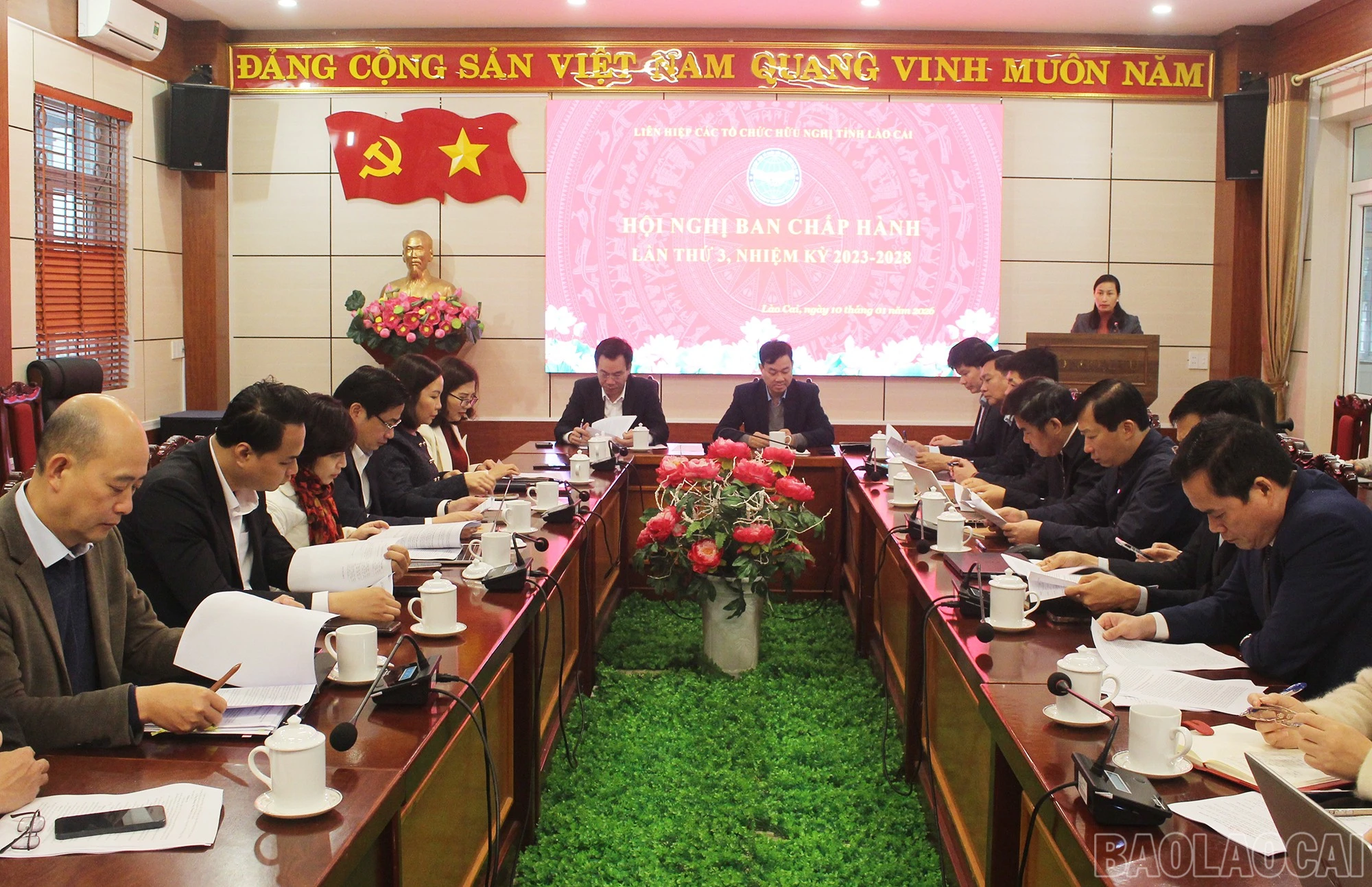 baolaocai-br_img-7513.jpg