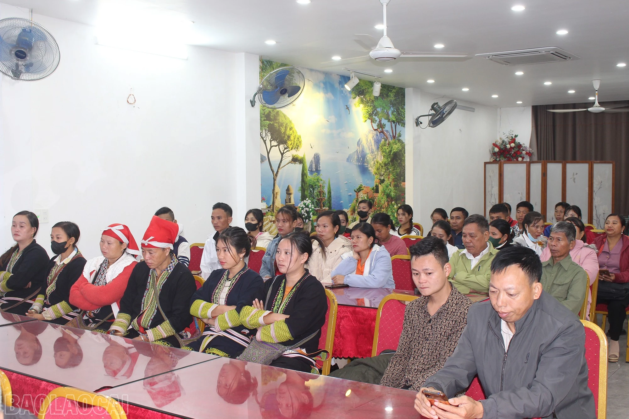 baolaocai-bl_img-3429.jpg