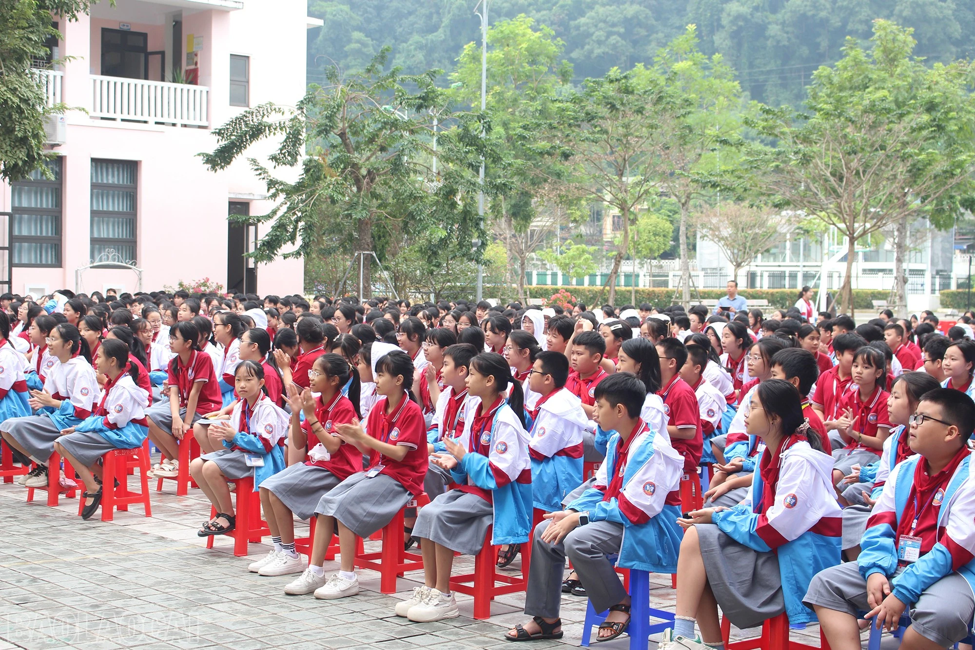 baolaocai-bl_img-2945.jpg