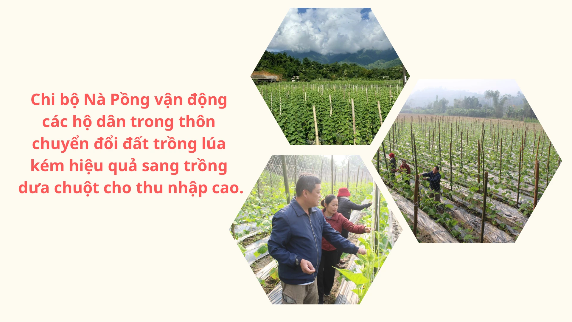 them-tieu-de.png