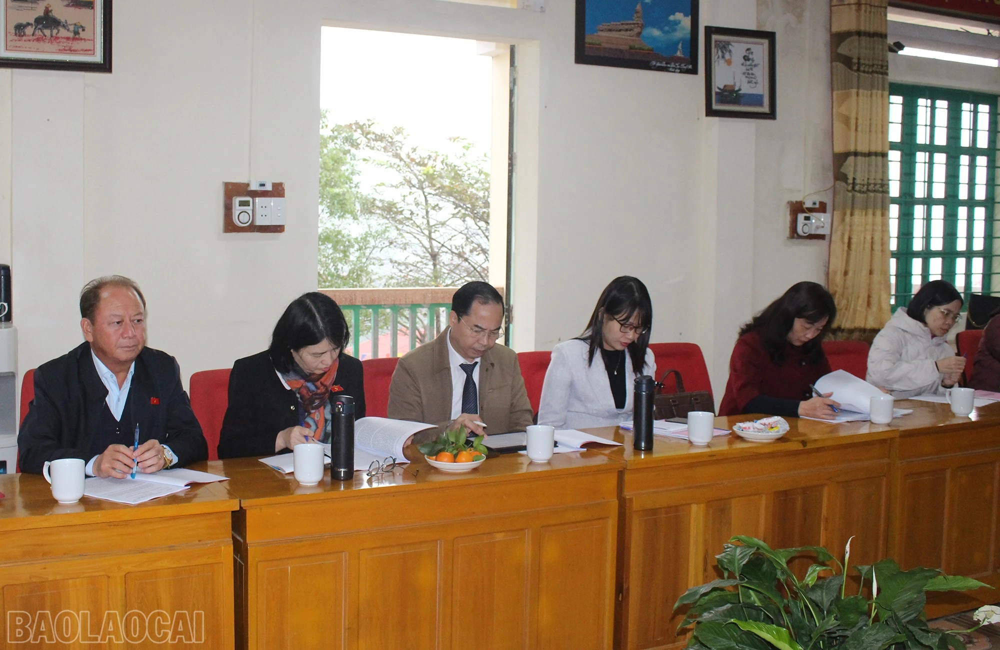 baolaocai-bl_img-3863.jpg