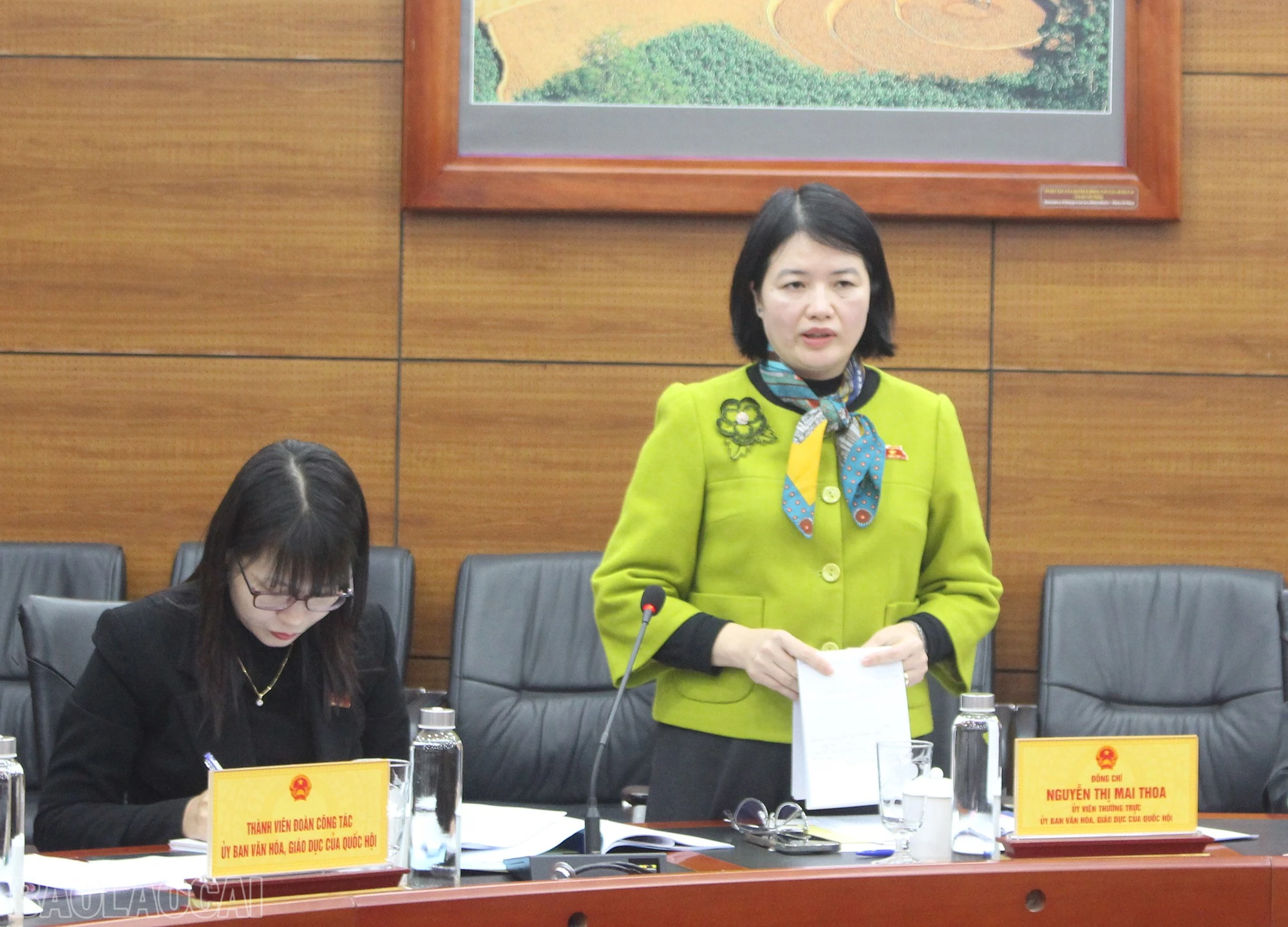 baolaocai-bl_img-3926.jpg