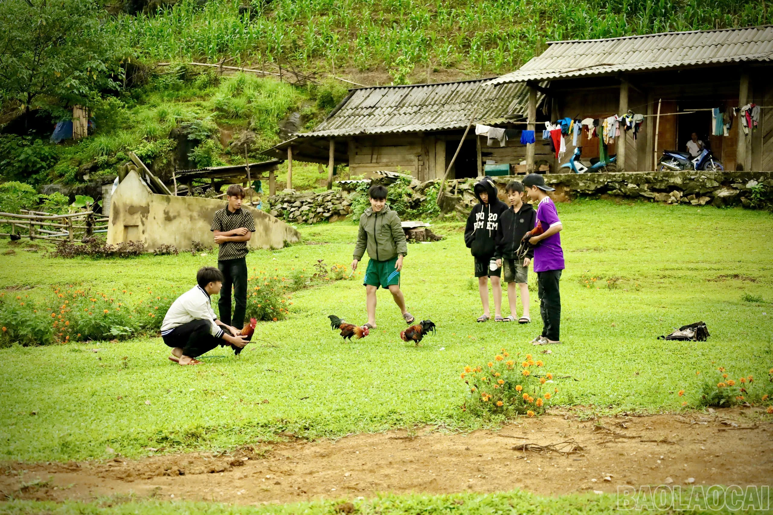 baolaocai-br_z6593562783582-54d84e59f004b1c81b7cc5ee26eec0f3.jpg