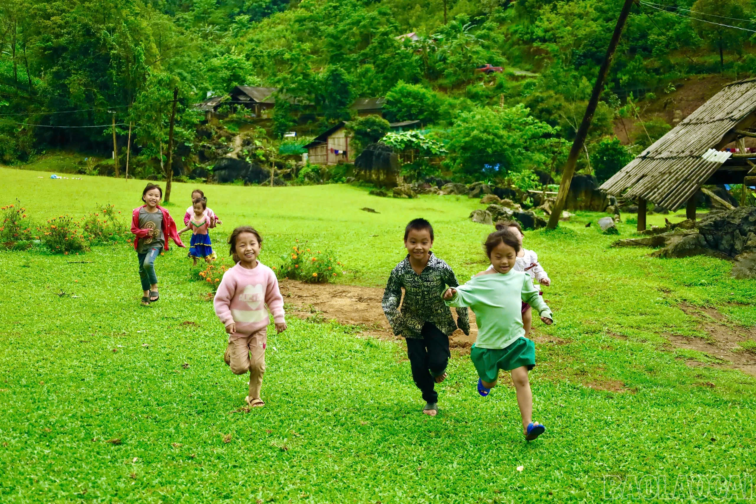 baolaocai-br_z6593562729569-672981d967de9cbb859521ea7b9521a3.jpg