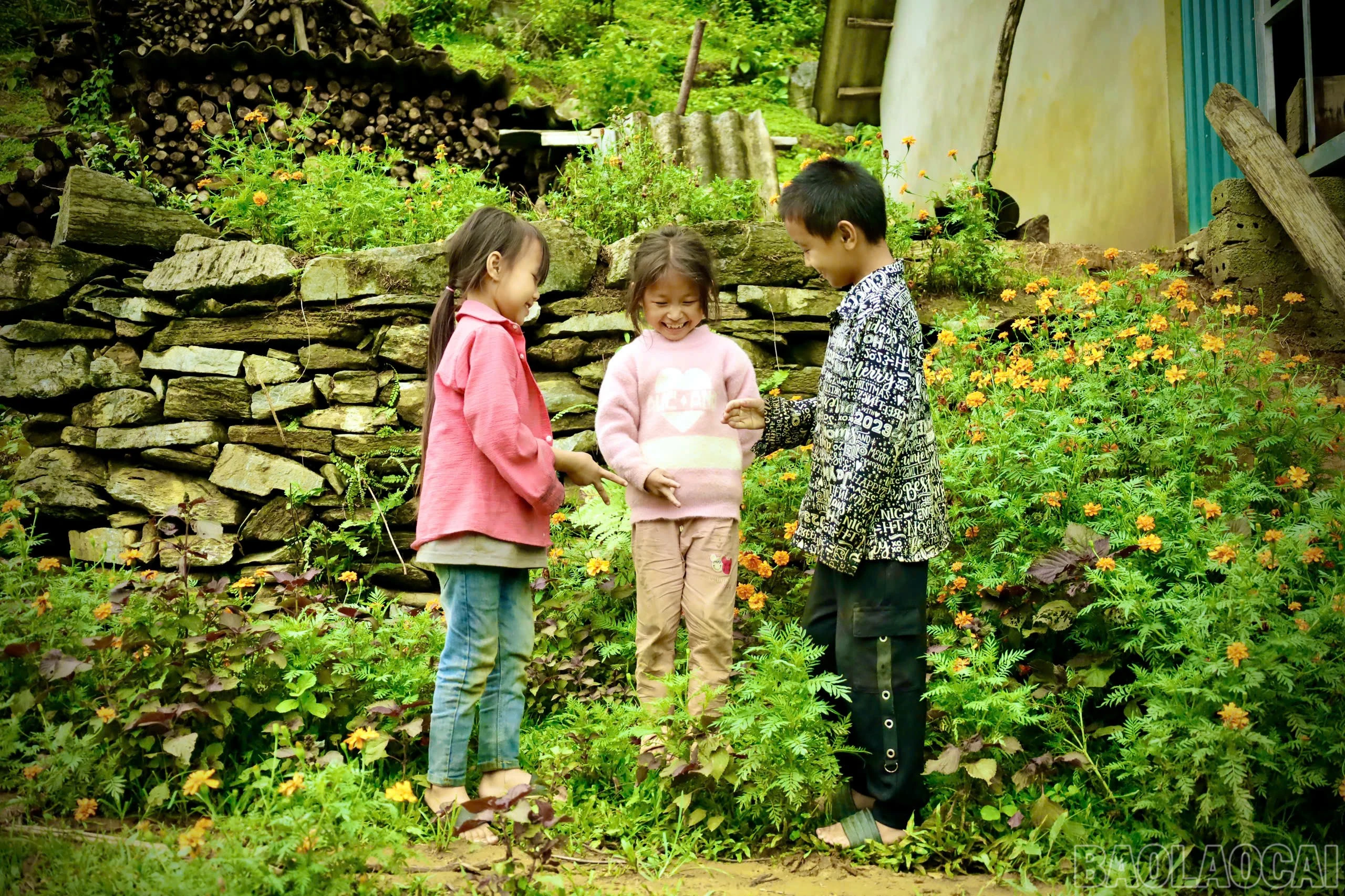 baolaocai-br_z6593562695594-4f94ebd0f5196ae11a1fe0e19e035c3f.jpg
