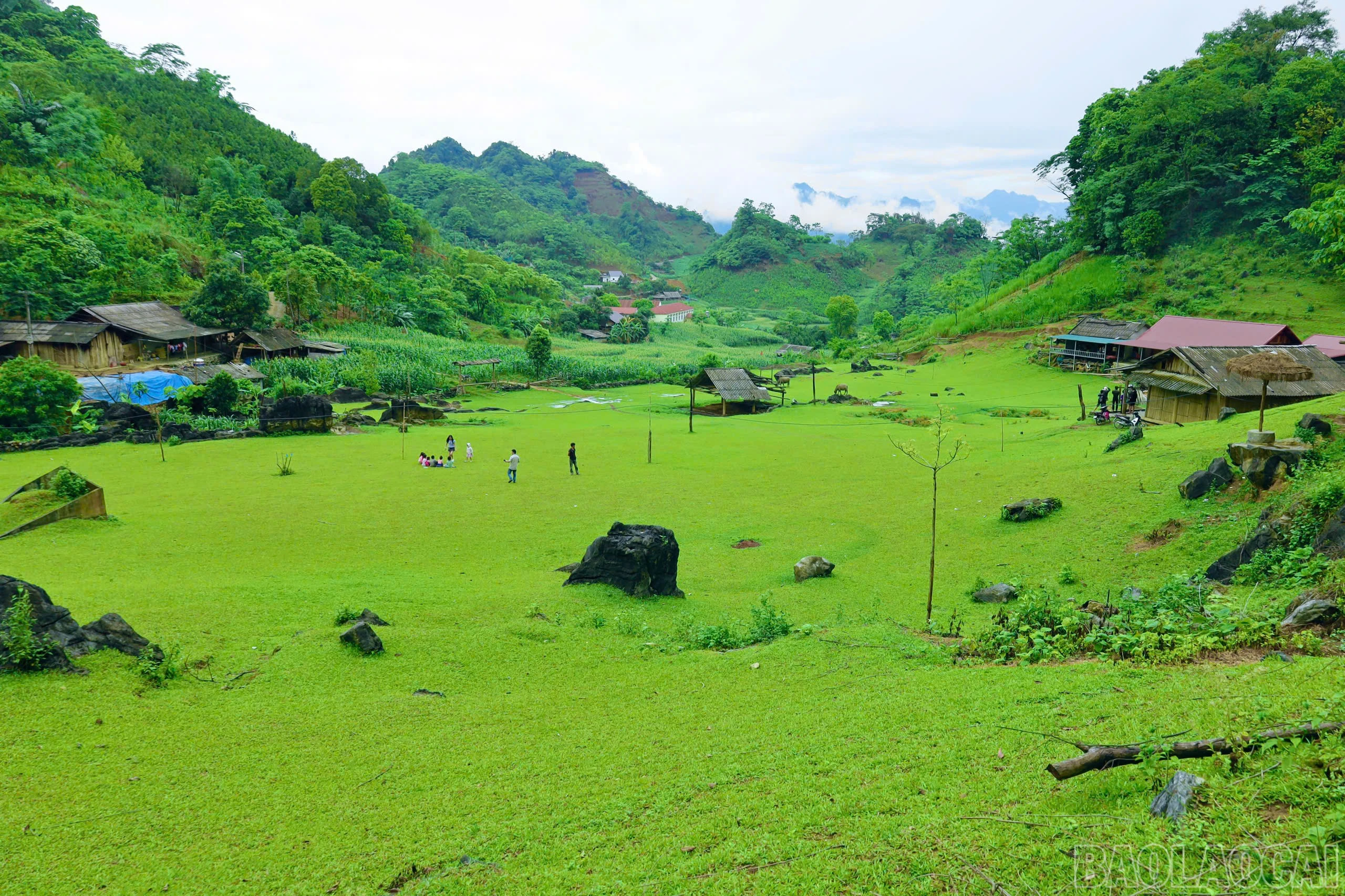 baolaocai-br_z6593562764331-5e43fb98f84307f828b3c4d632a8d2ae.jpg