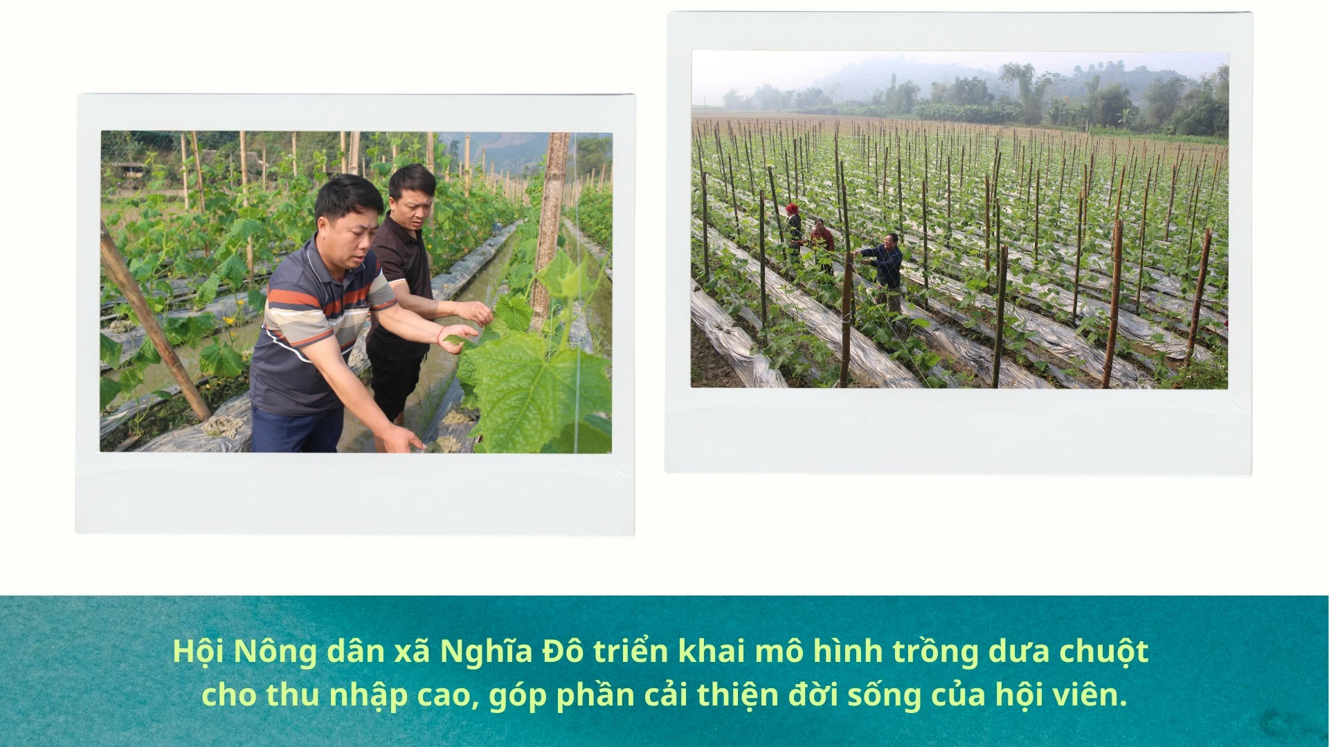 philippine-knowledge-worker-local-tourism-agency-presentation-in-aqua-neon-green-modern-minimalist-style.png