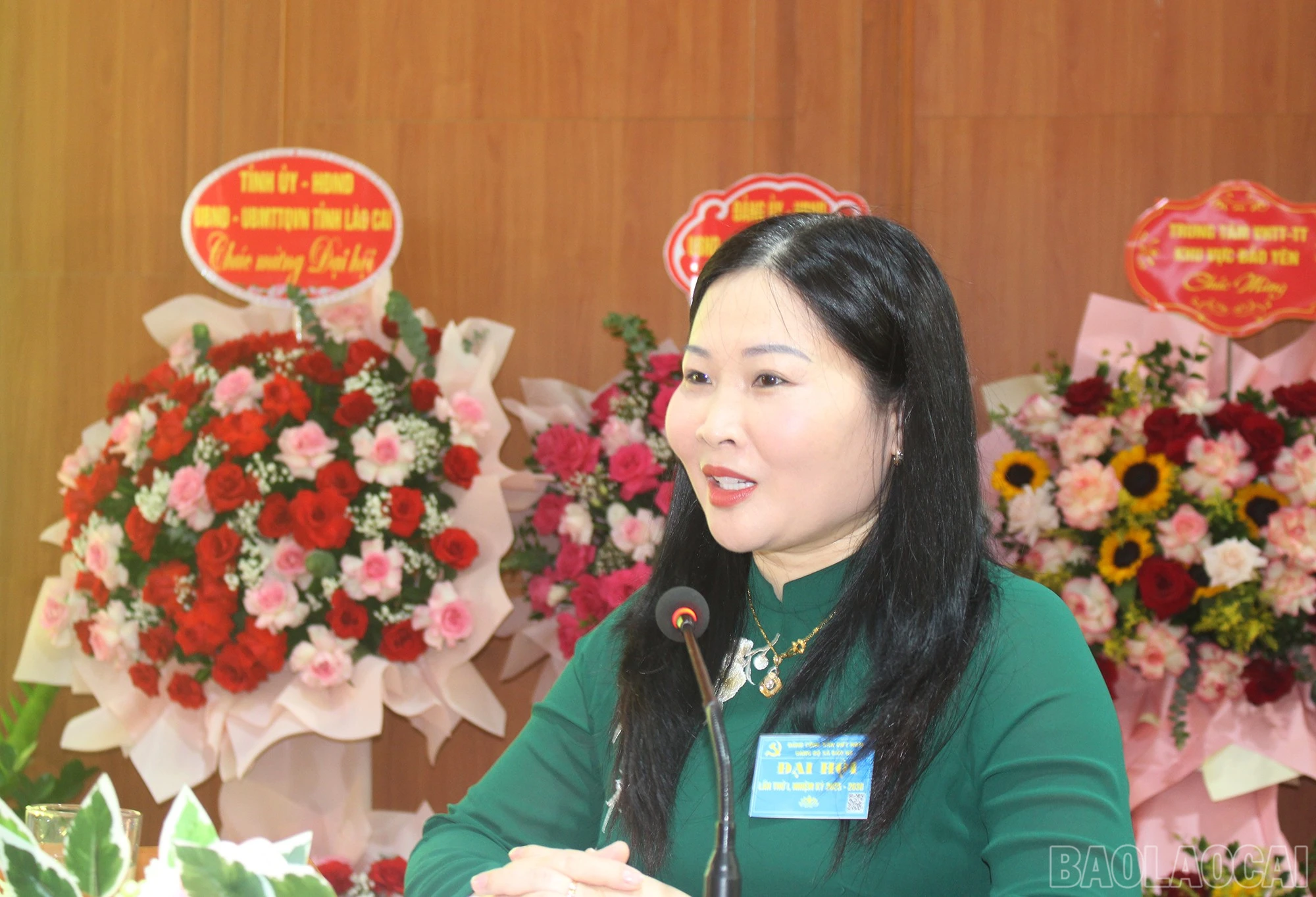 baolaocai-br_img-6054.jpg