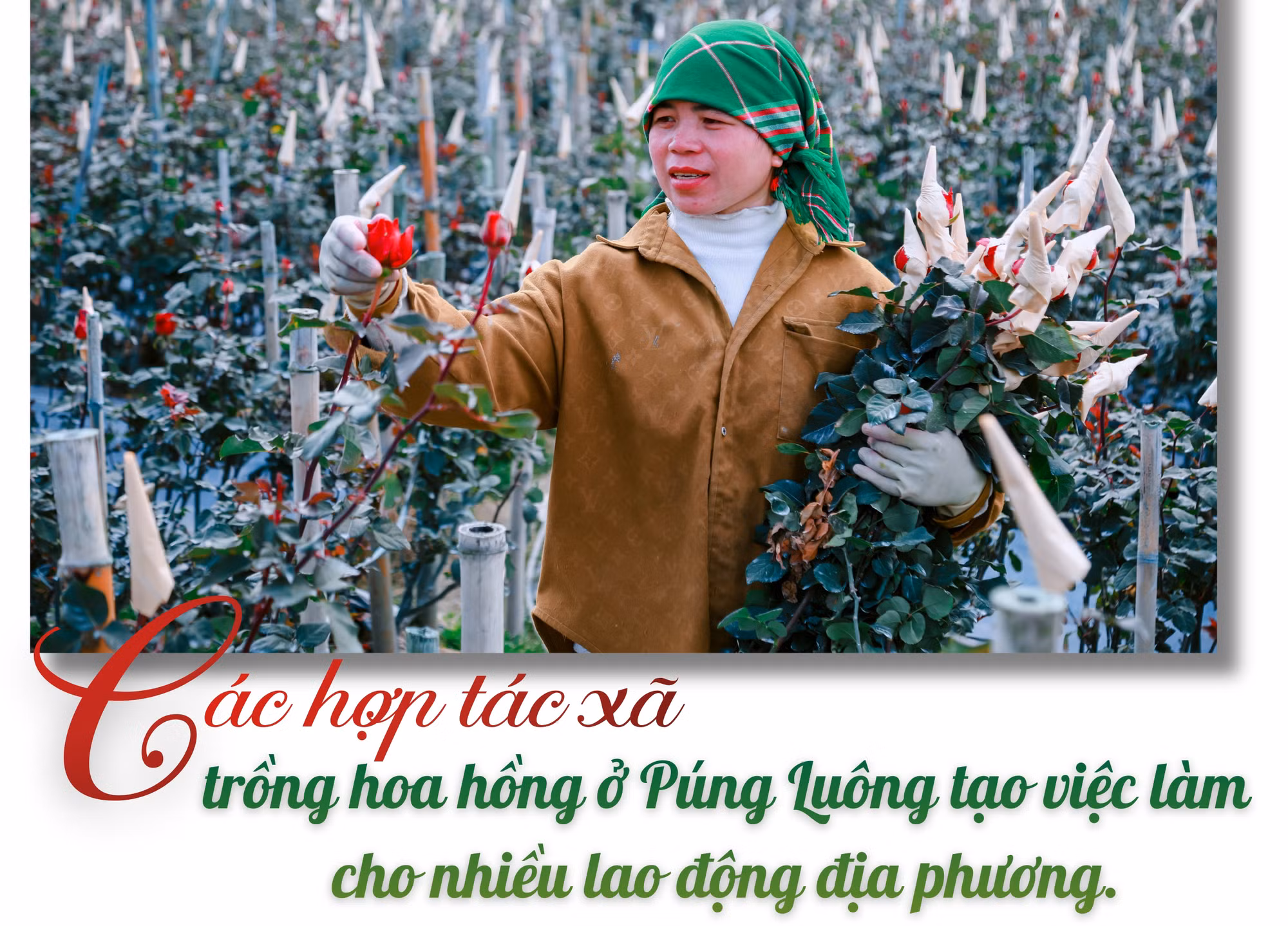 86.jpg