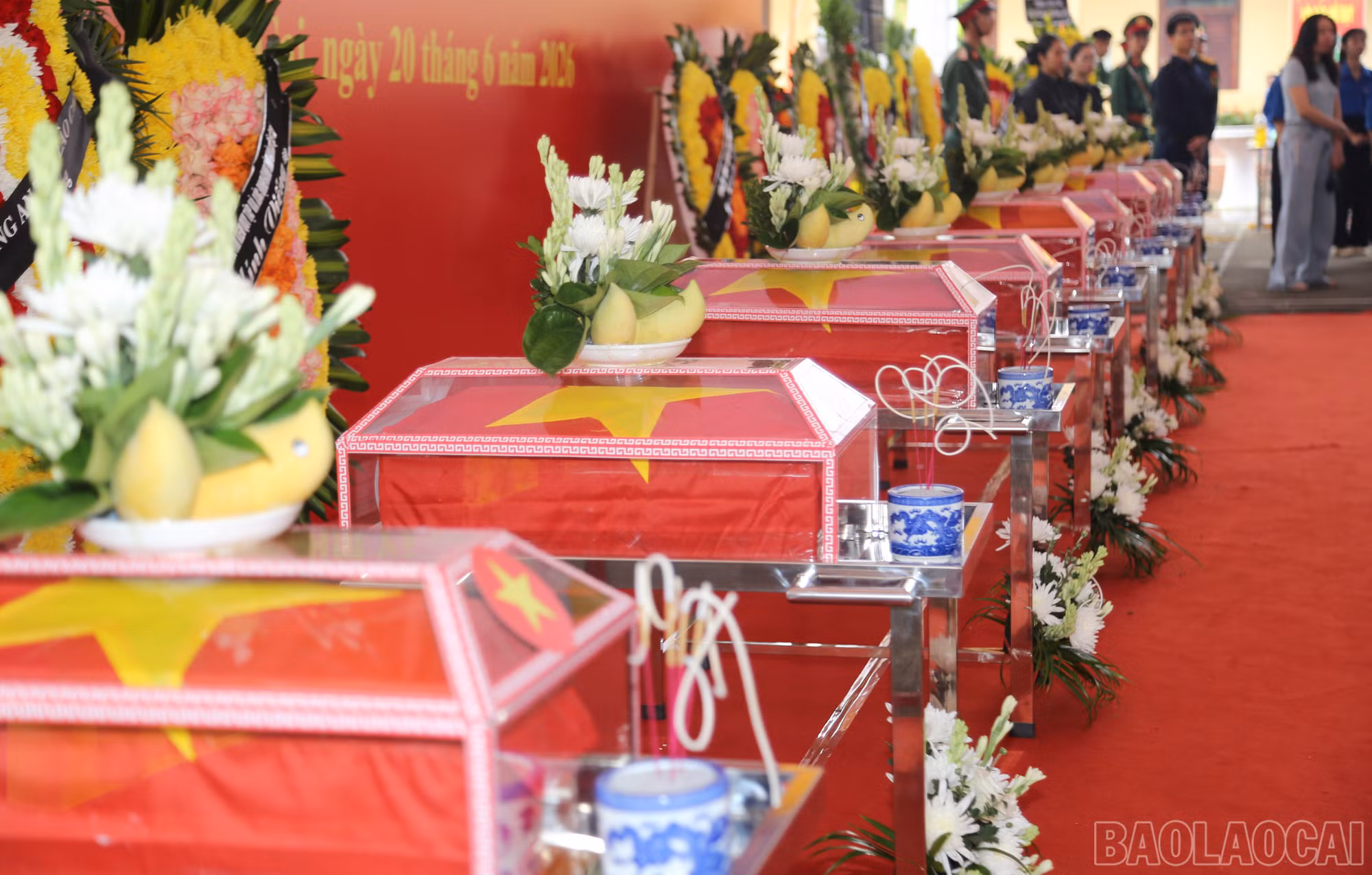 Từ đại ngàn các anh trở về