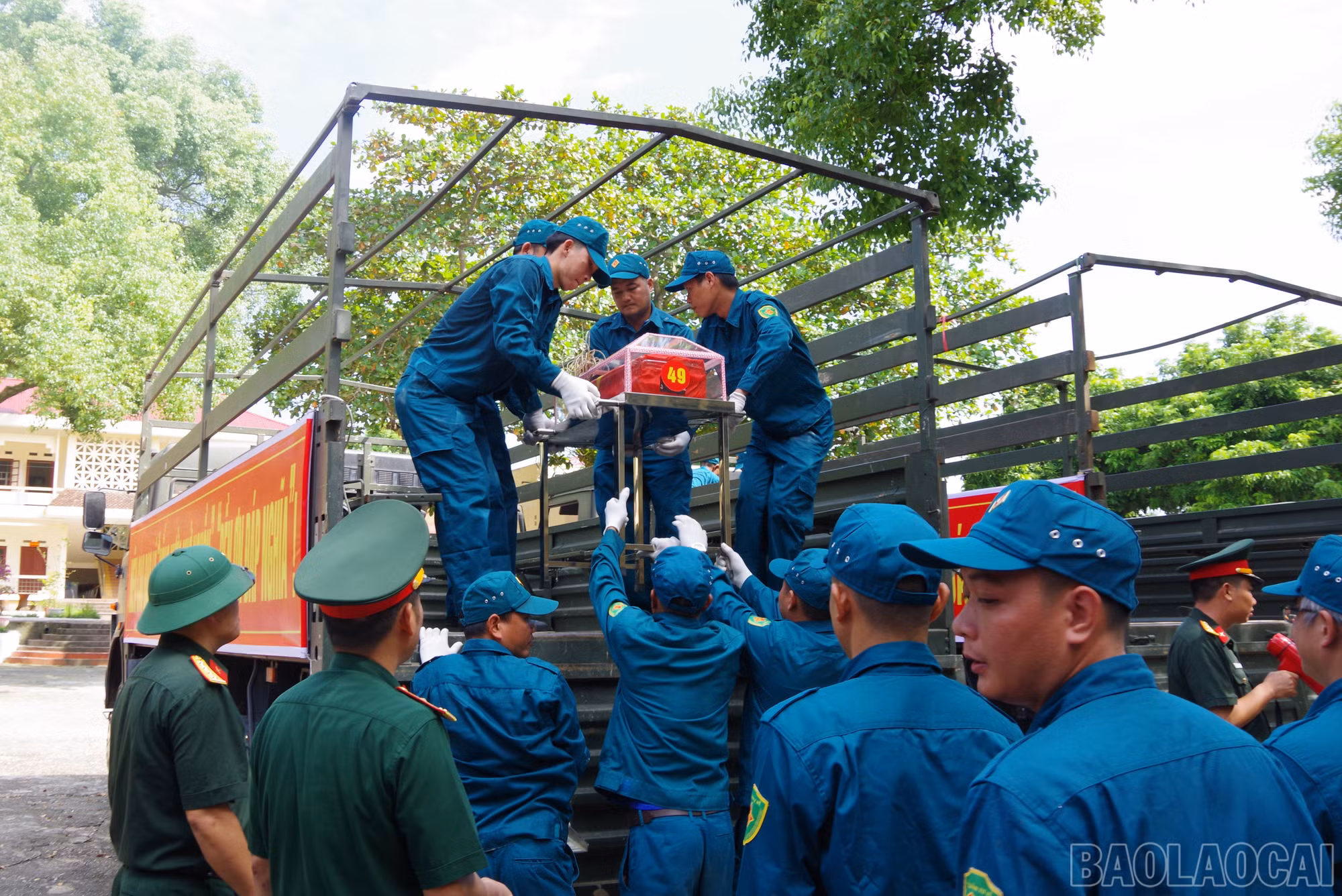 baolaocai-br_a-18.jpg