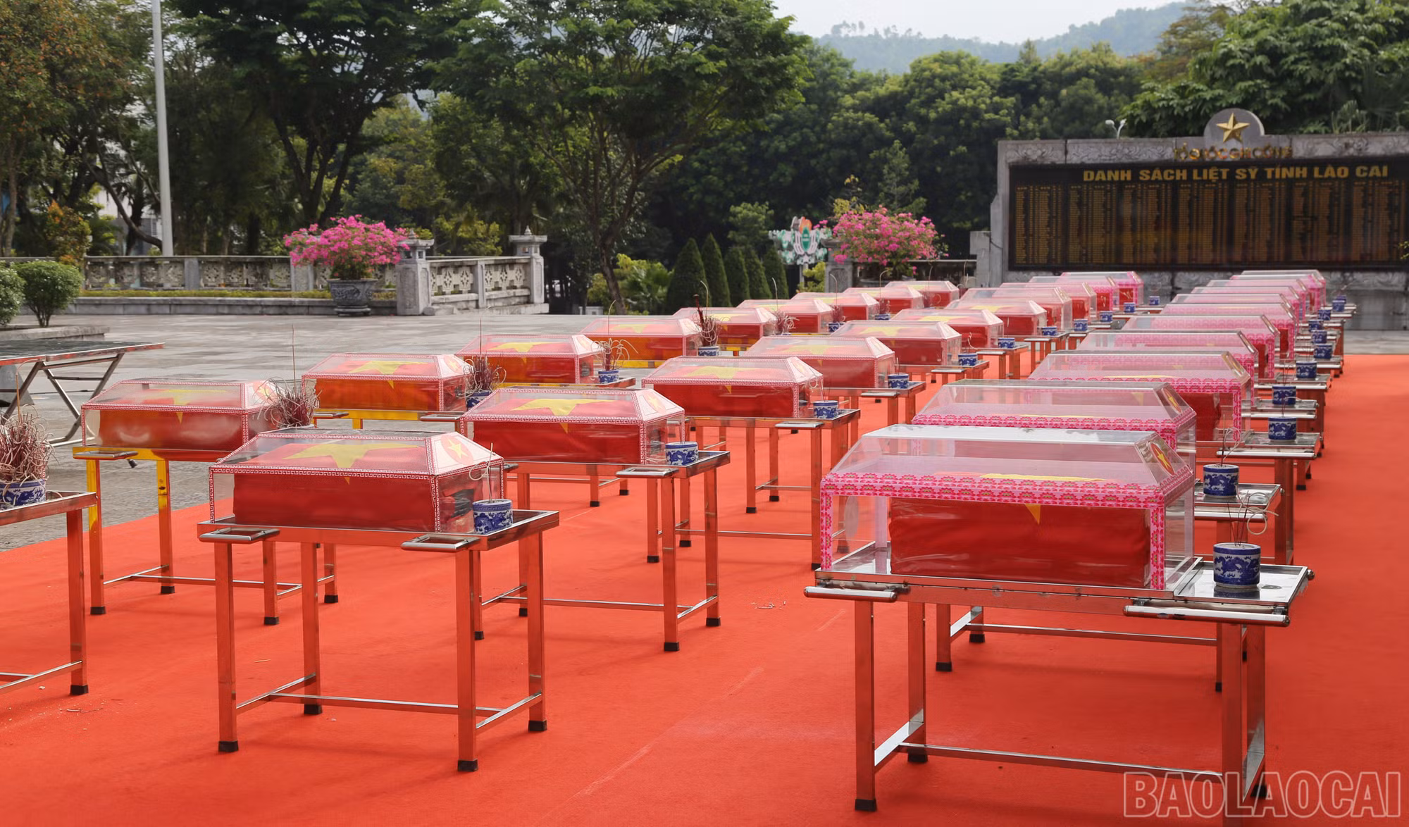 baolaocai-br_a-80.jpg