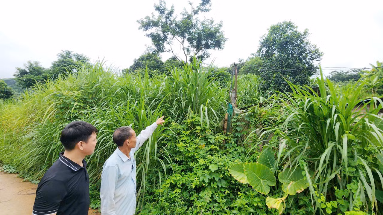 33.jpg