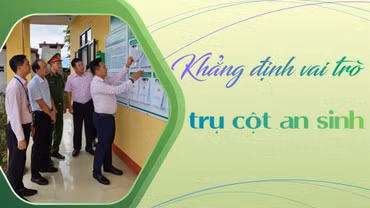 Khẳng định vai trò trụ cột an sinh