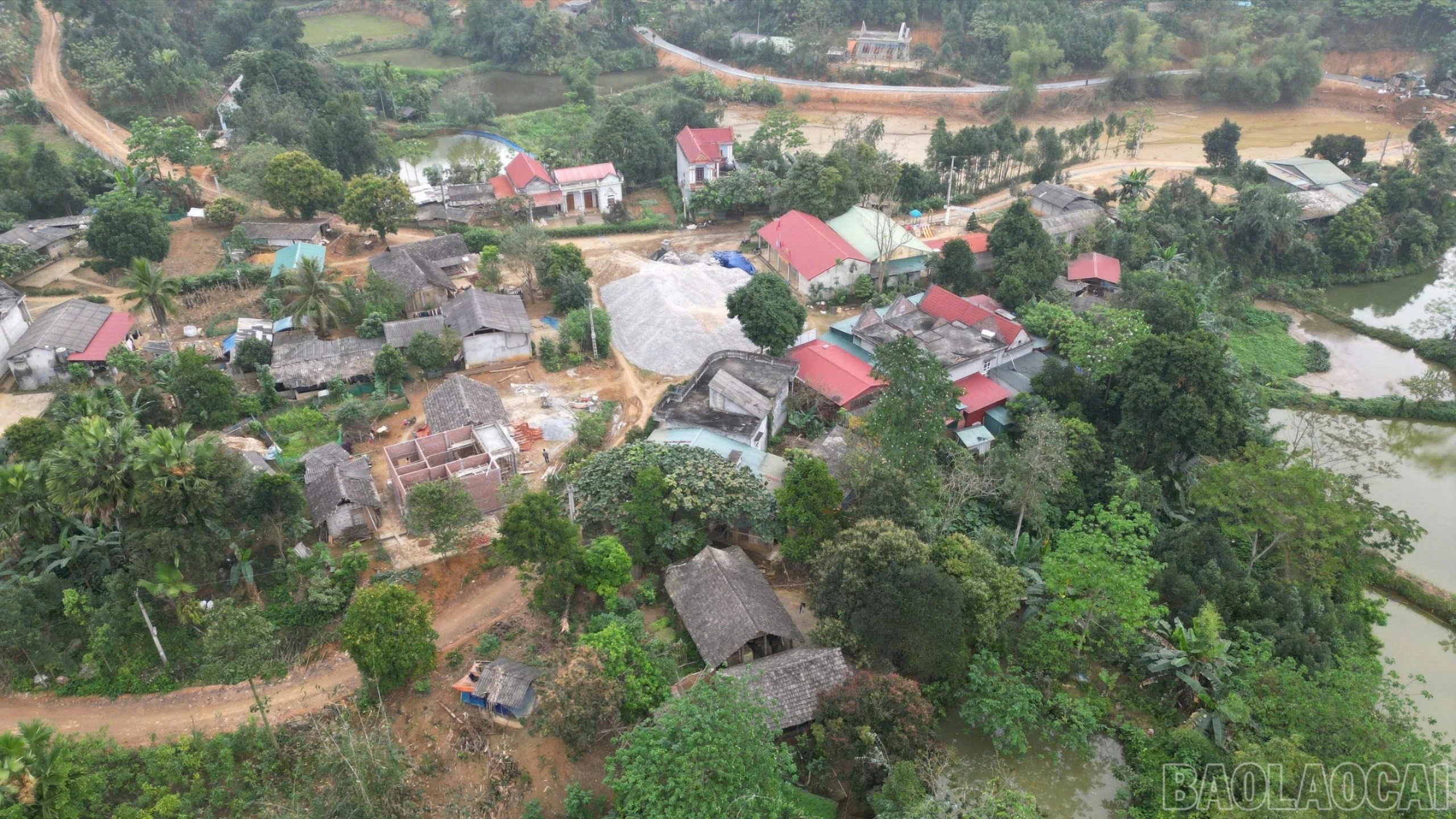 baolaocai-br_z7380440681653-c26266359d457653e9eef1c667de037e-4557.jpg