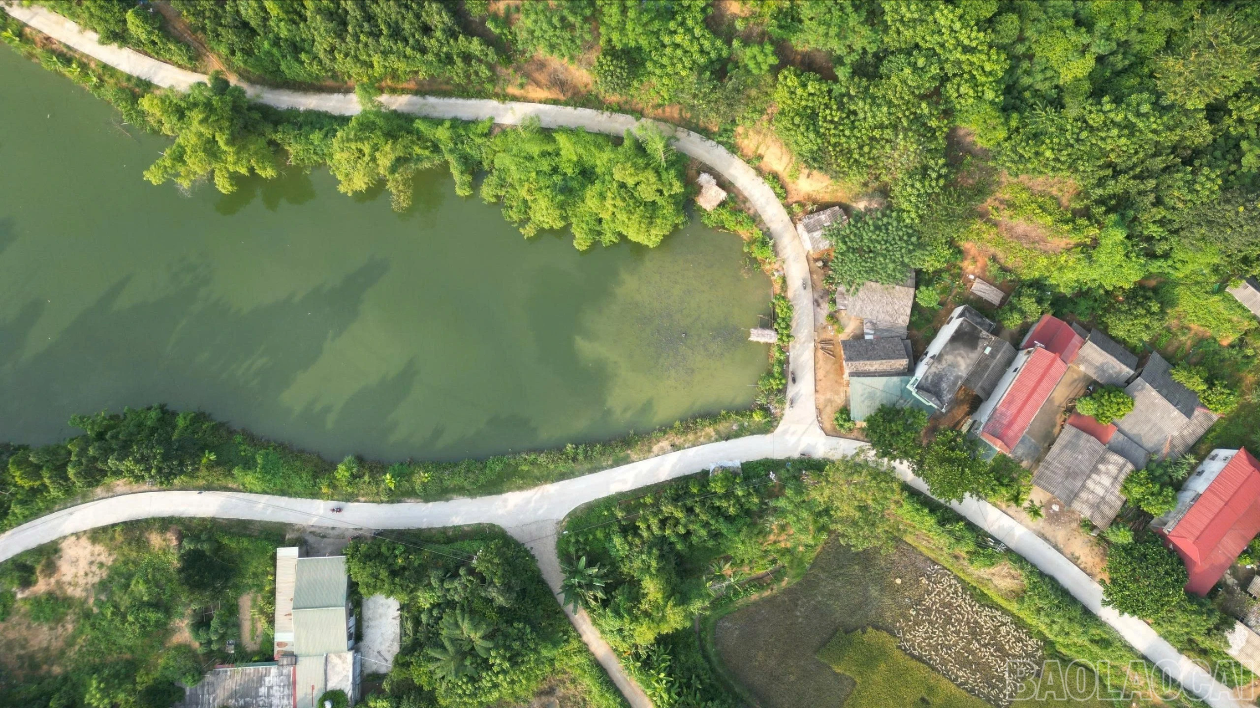 baolaocai-br_z7364207089792-e4e130610132fd3f98a0a8c0030fd40d-8572.jpg