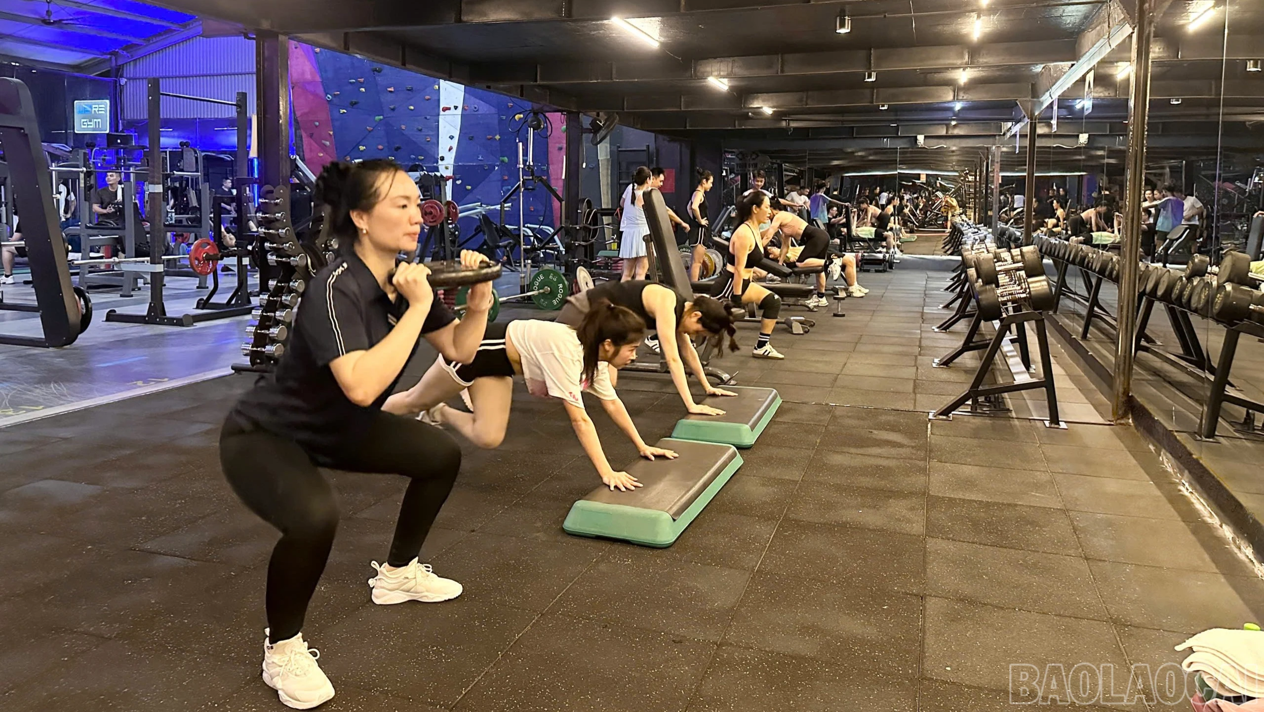 baolaocai-br_z7870186749361-de28e7207104bd45a1614e2d21f7bcde-8423.jpg