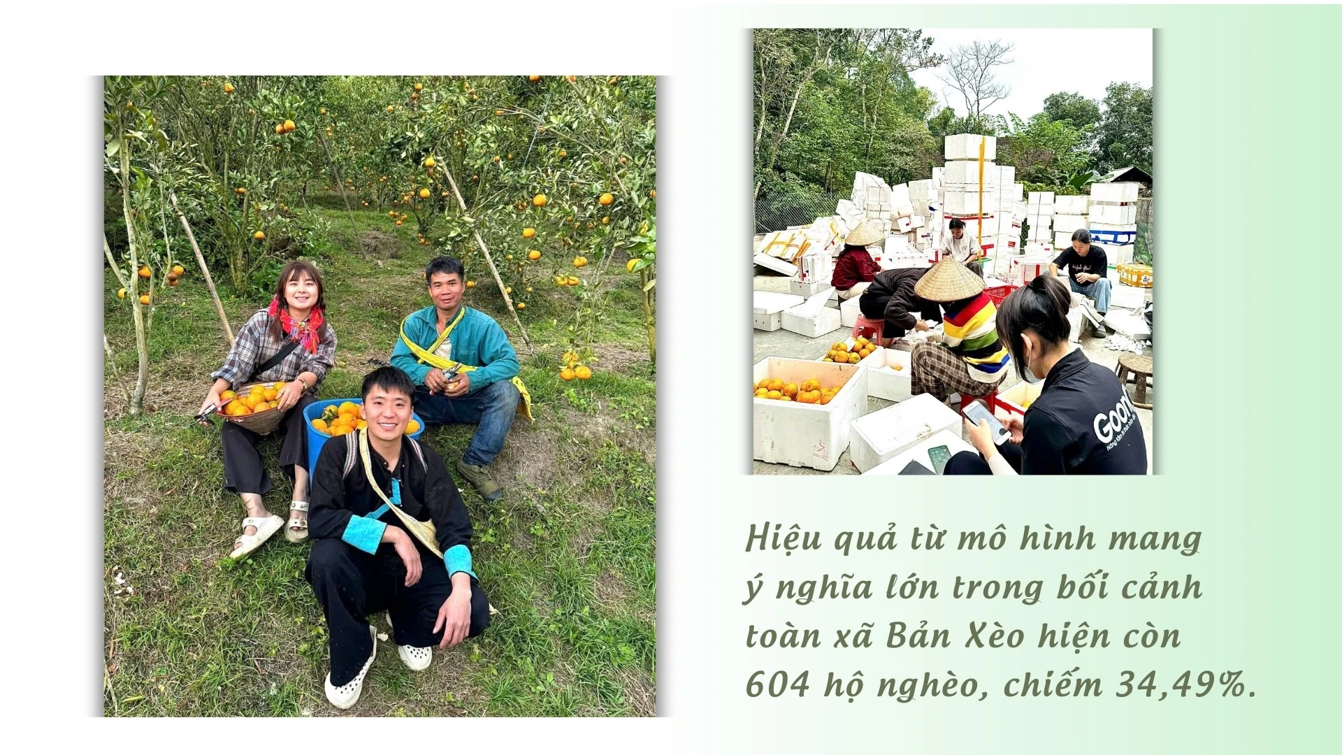 5-8680.jpg