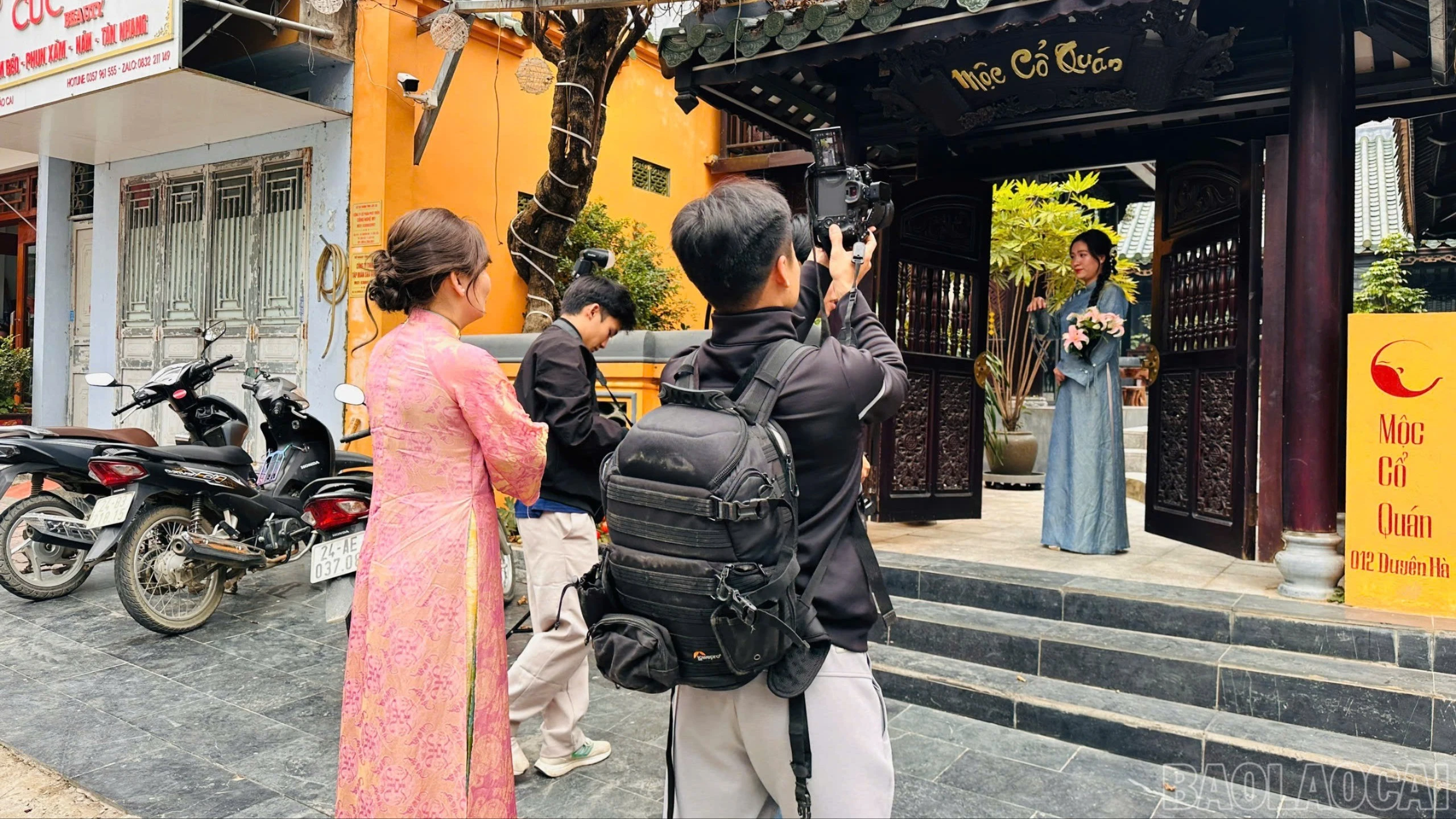 baolaocai-br_z7494813801480-b41fe575d54b679b2a5ebc877fe644c0-9999.jpg