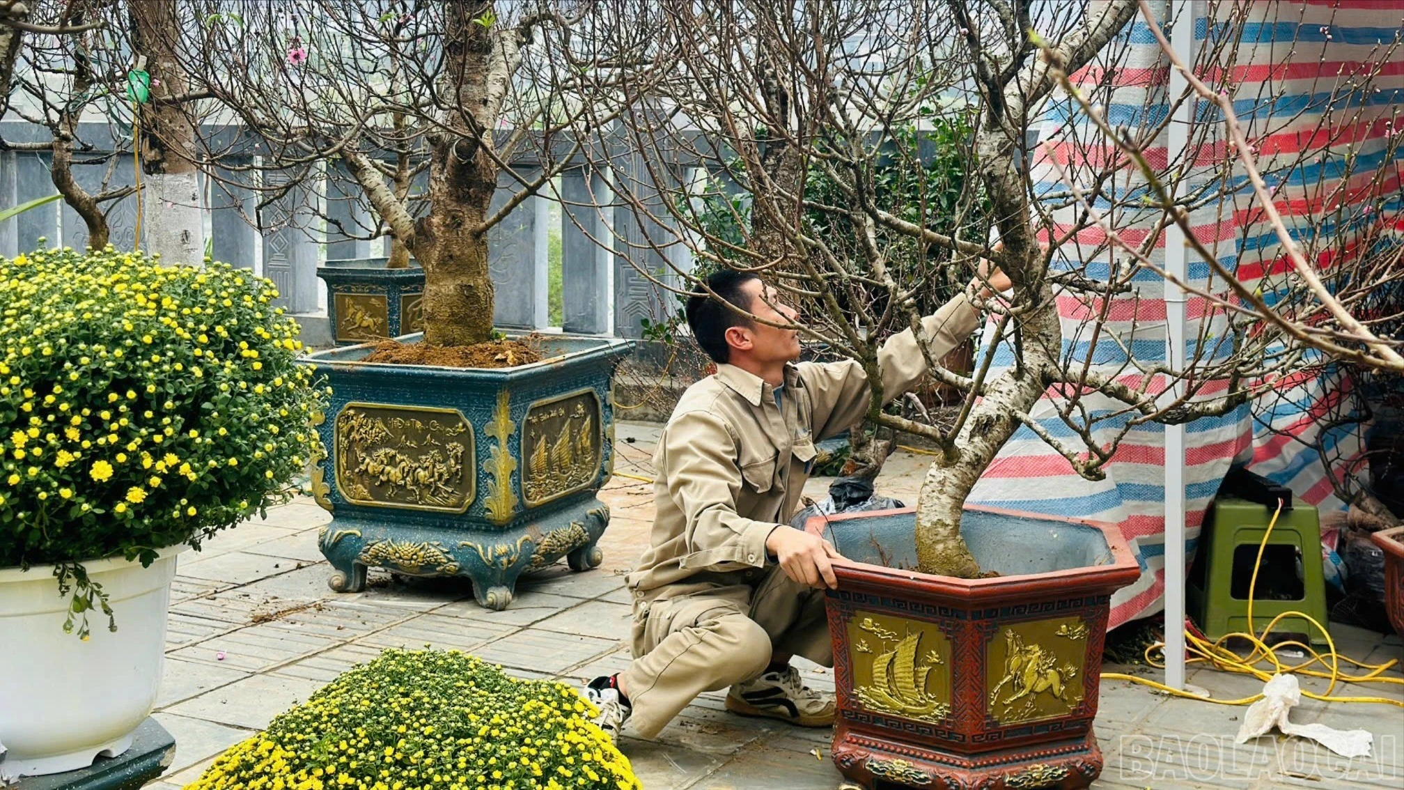 baolaocai-br_z7494813850354-24a54d0086857e8bd188d073af57deb9-2854.jpg