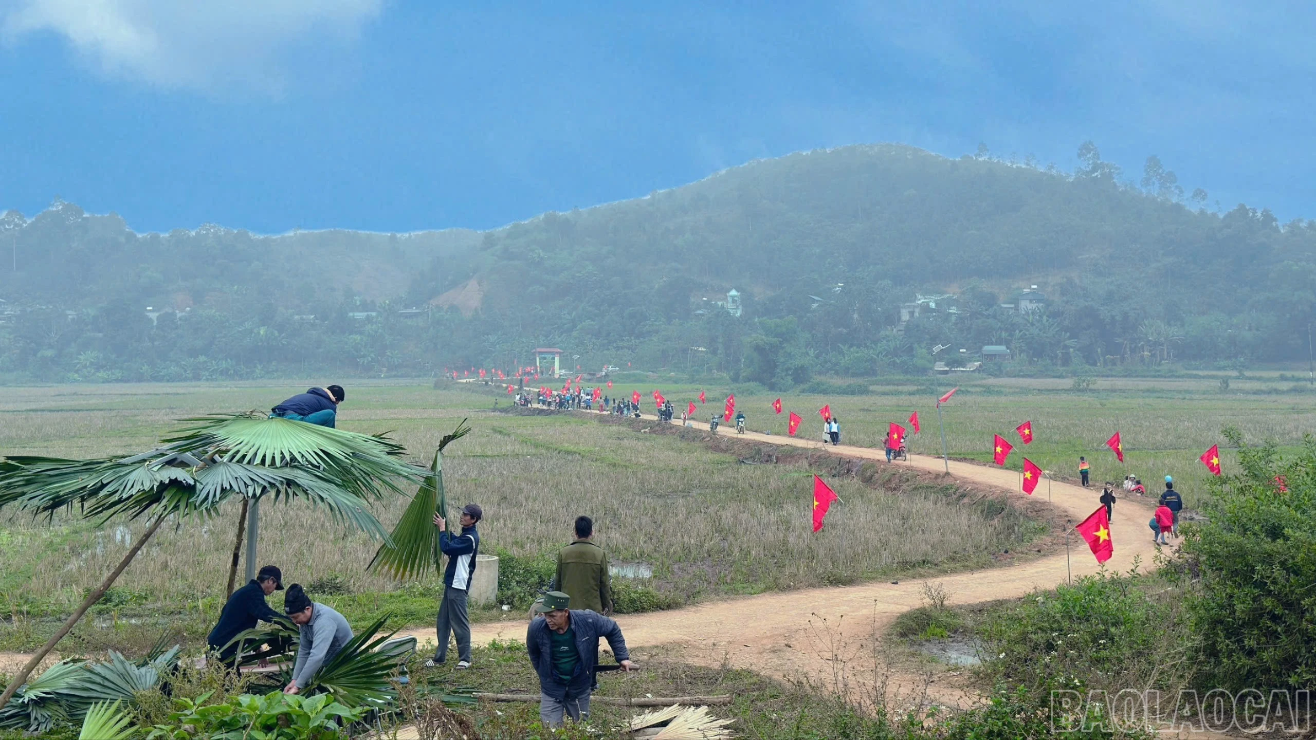 baolaocai-br_z7439829198720-2410d47b3fc4973324d15f1e32f16213-2102.jpg